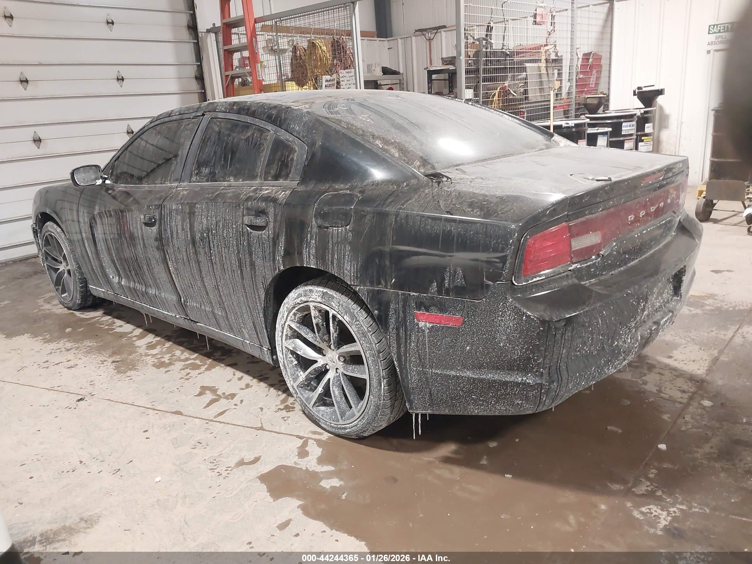 DODGE CHARGER image 3