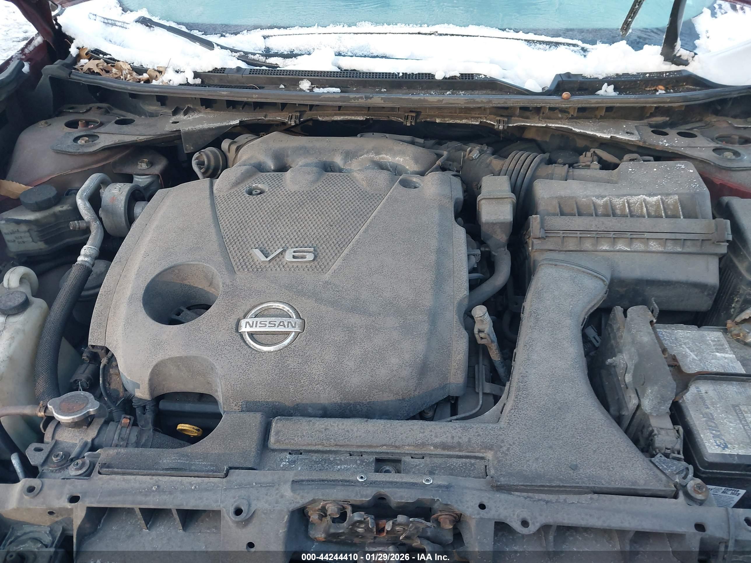 NISSAN MAXIMA image 10