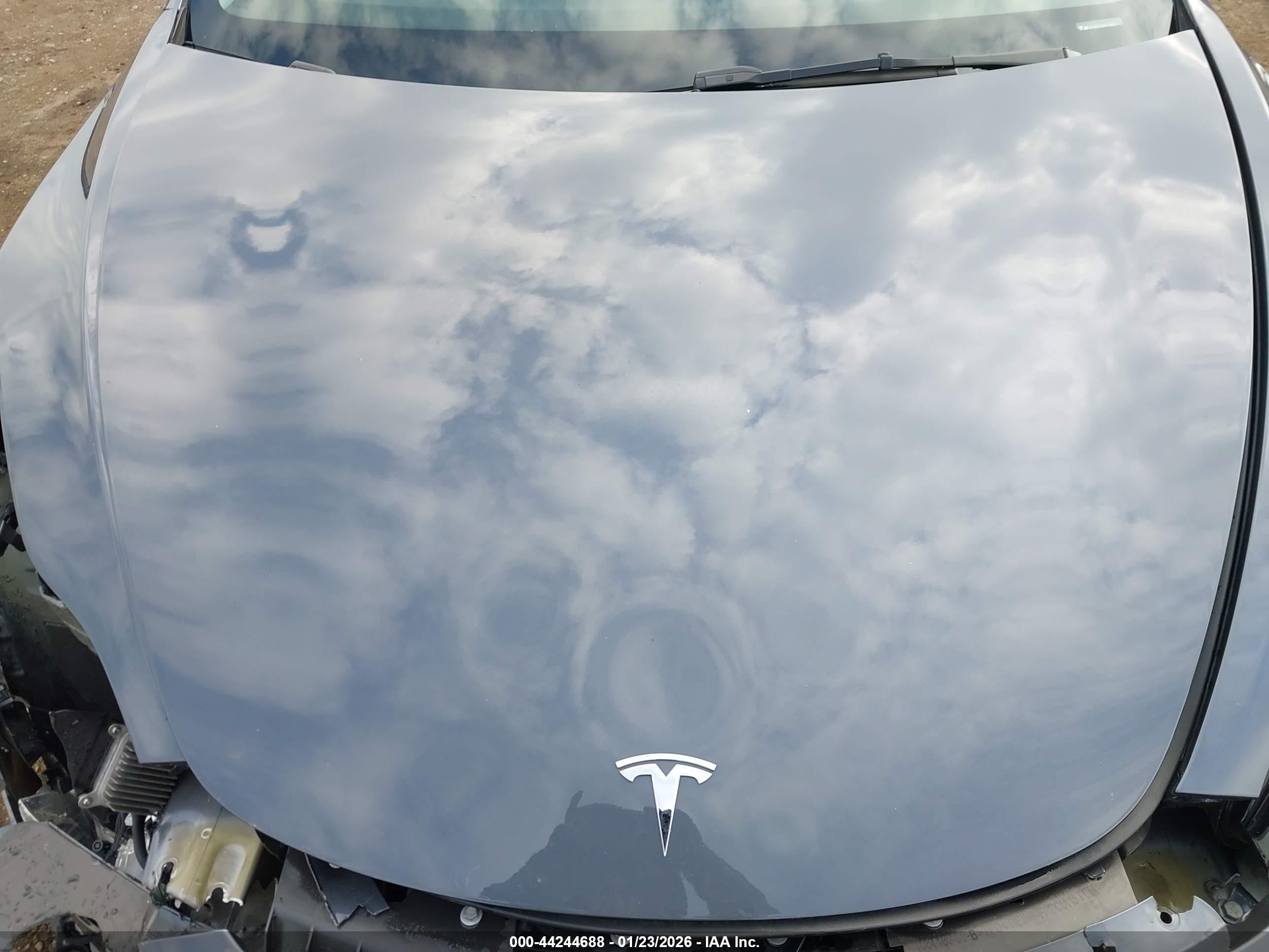 TESLA MODEL image 10