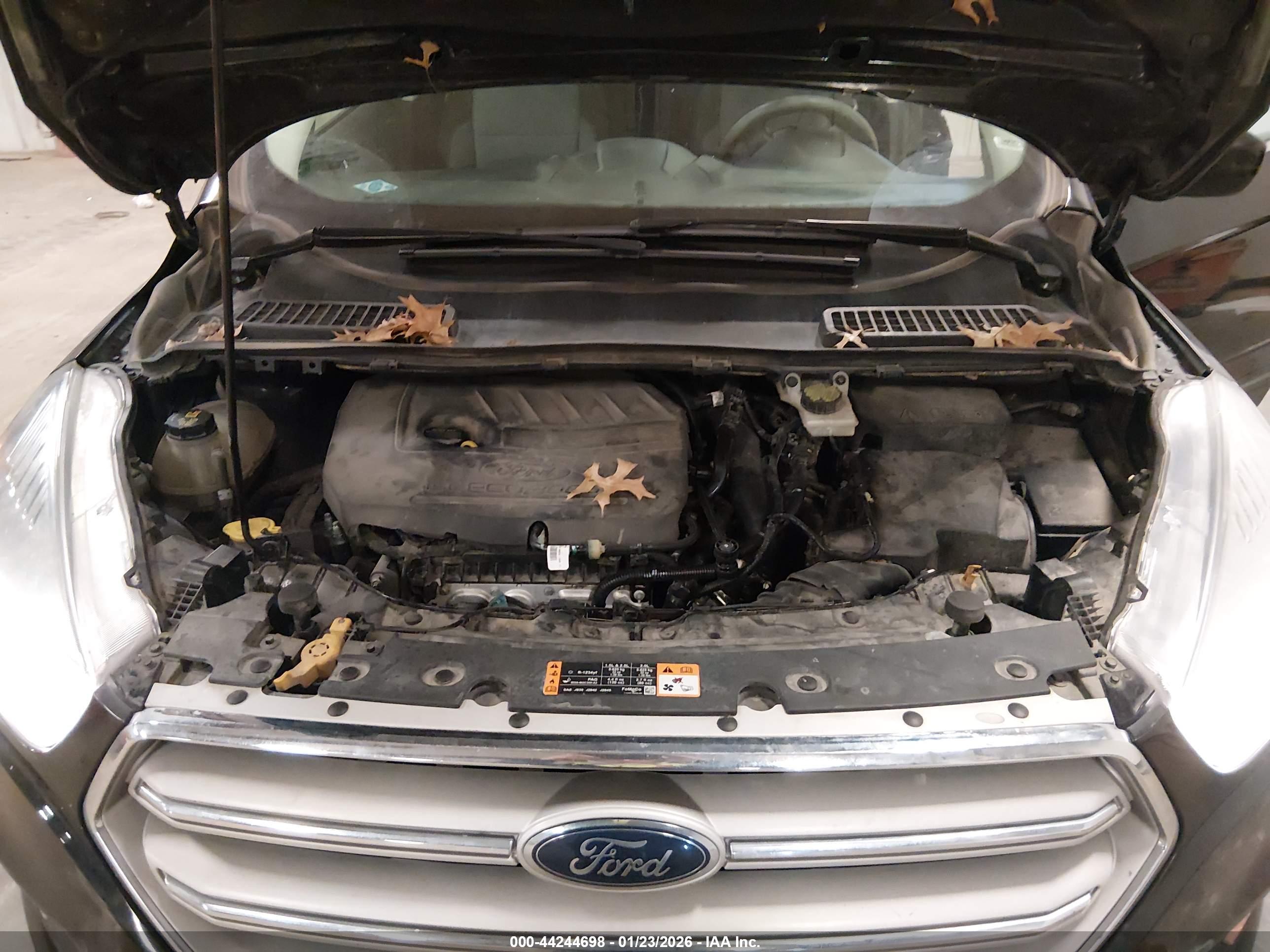FORD ESCAPE image 10