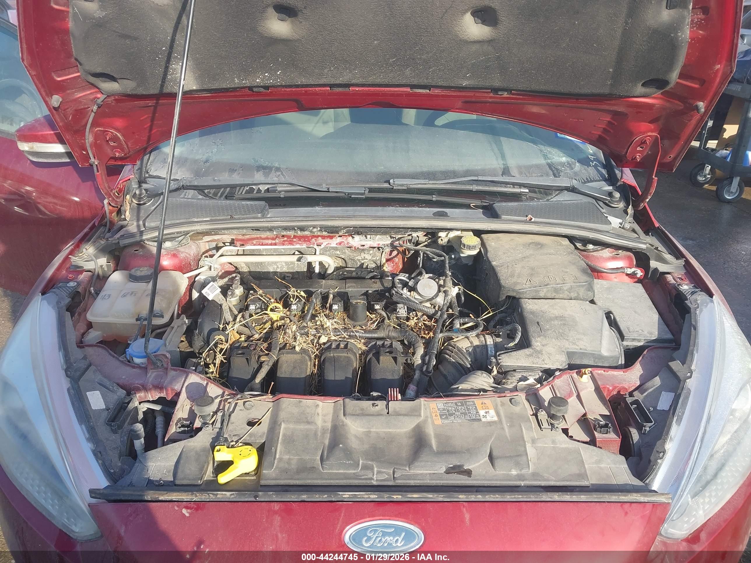 FORD FOCUS image 10