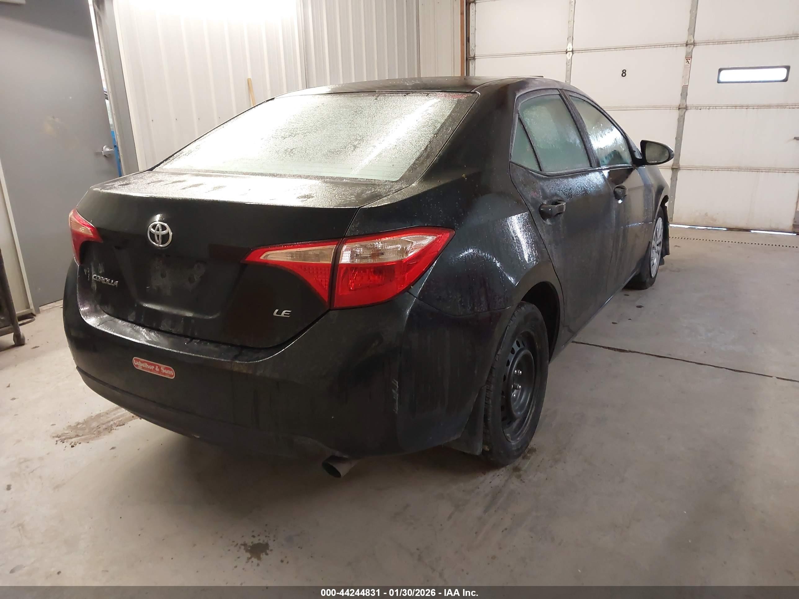 TOYOTA COROLLA image 4