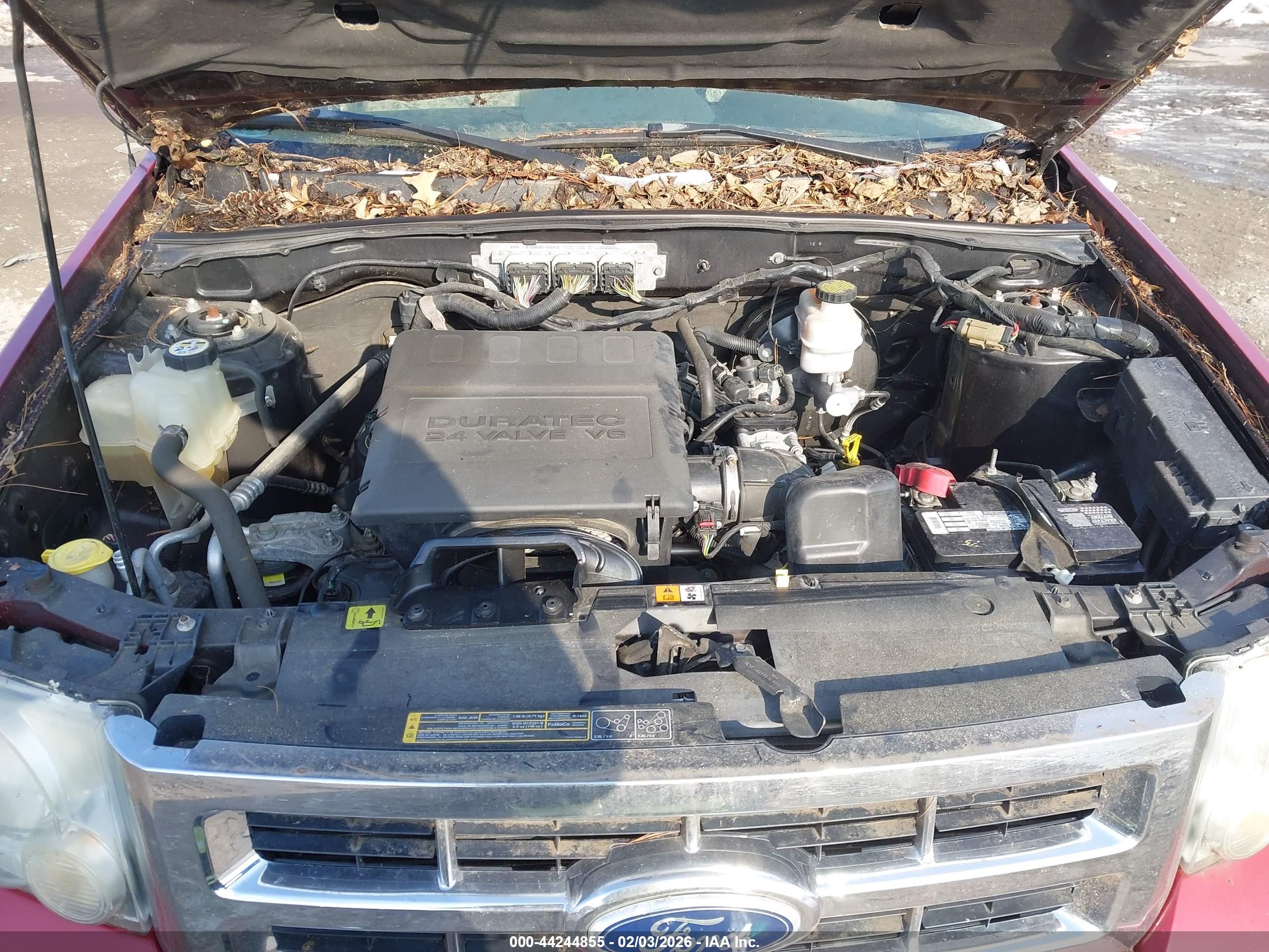 FORD ESCAPE image 10