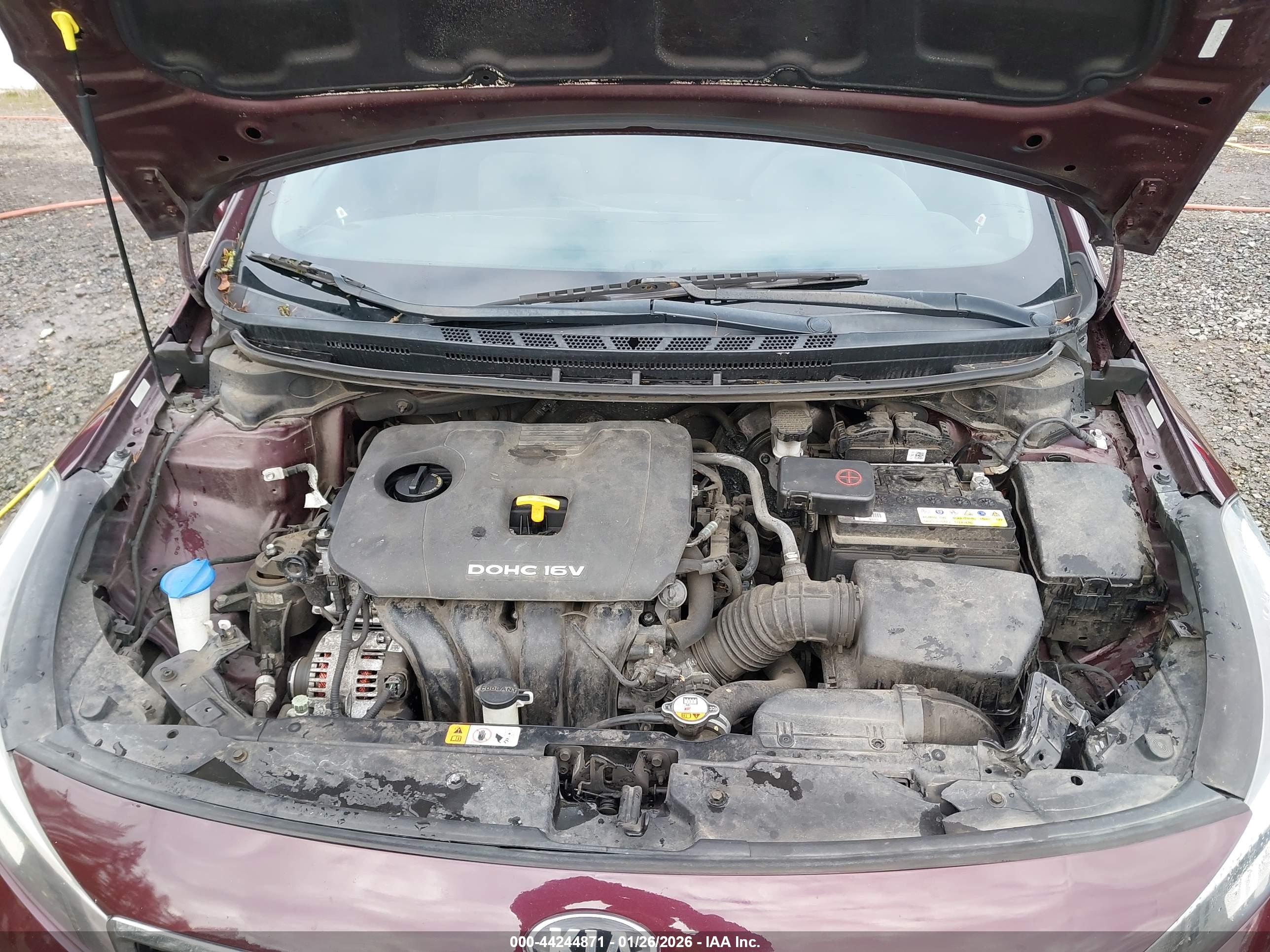 KIA FORTE image 10