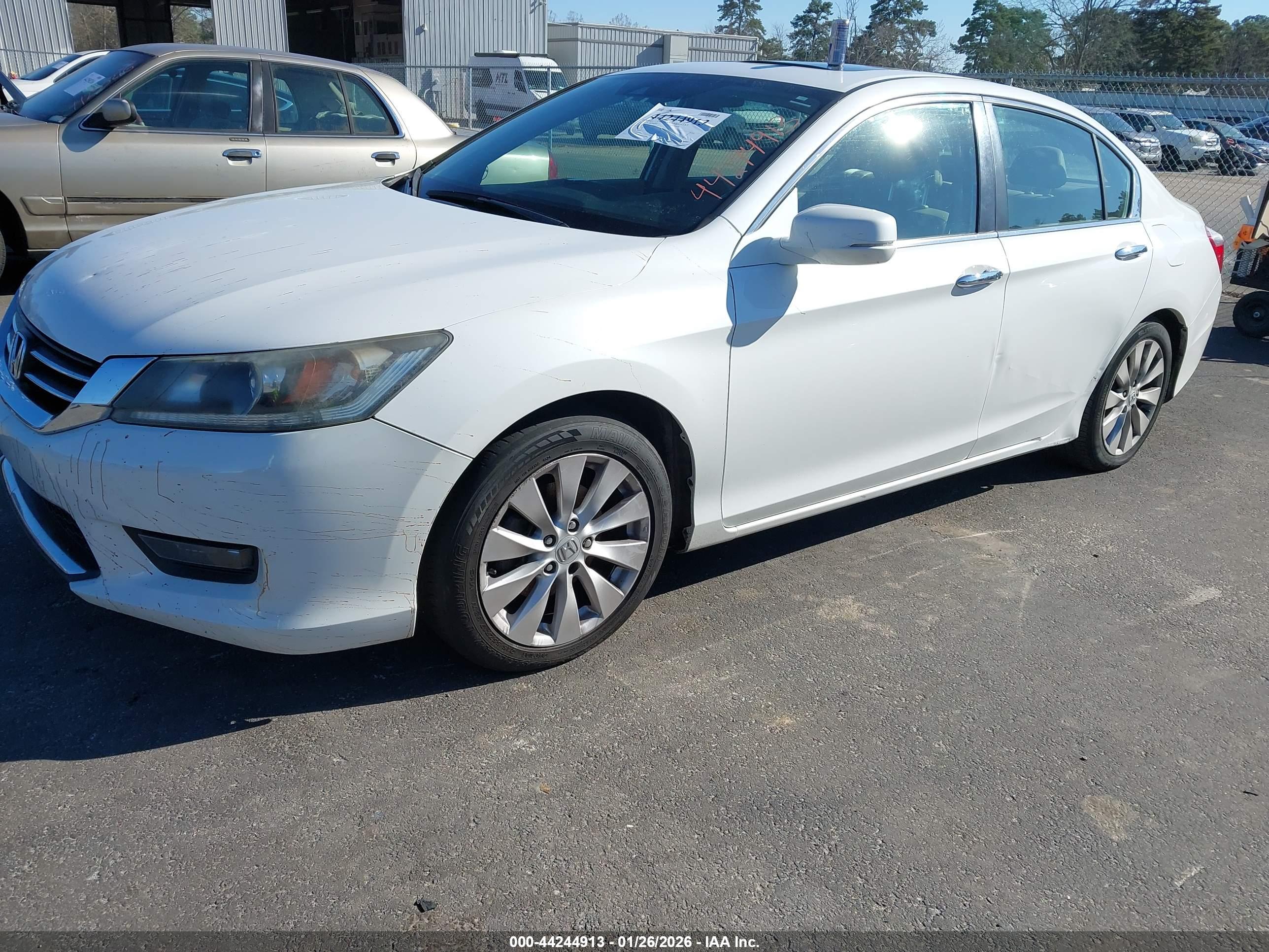 HONDA ACCORD image 2