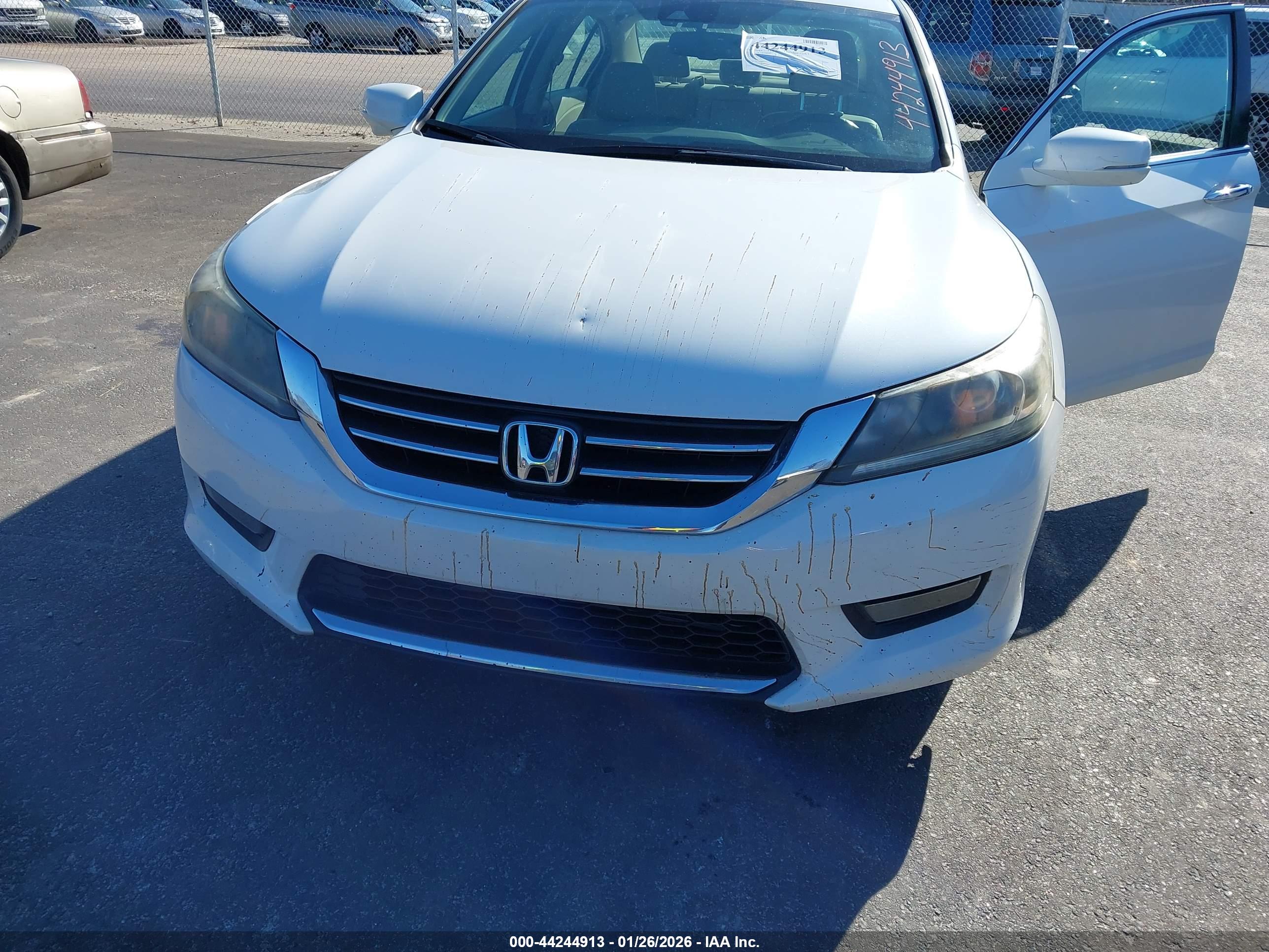 HONDA ACCORD image 6