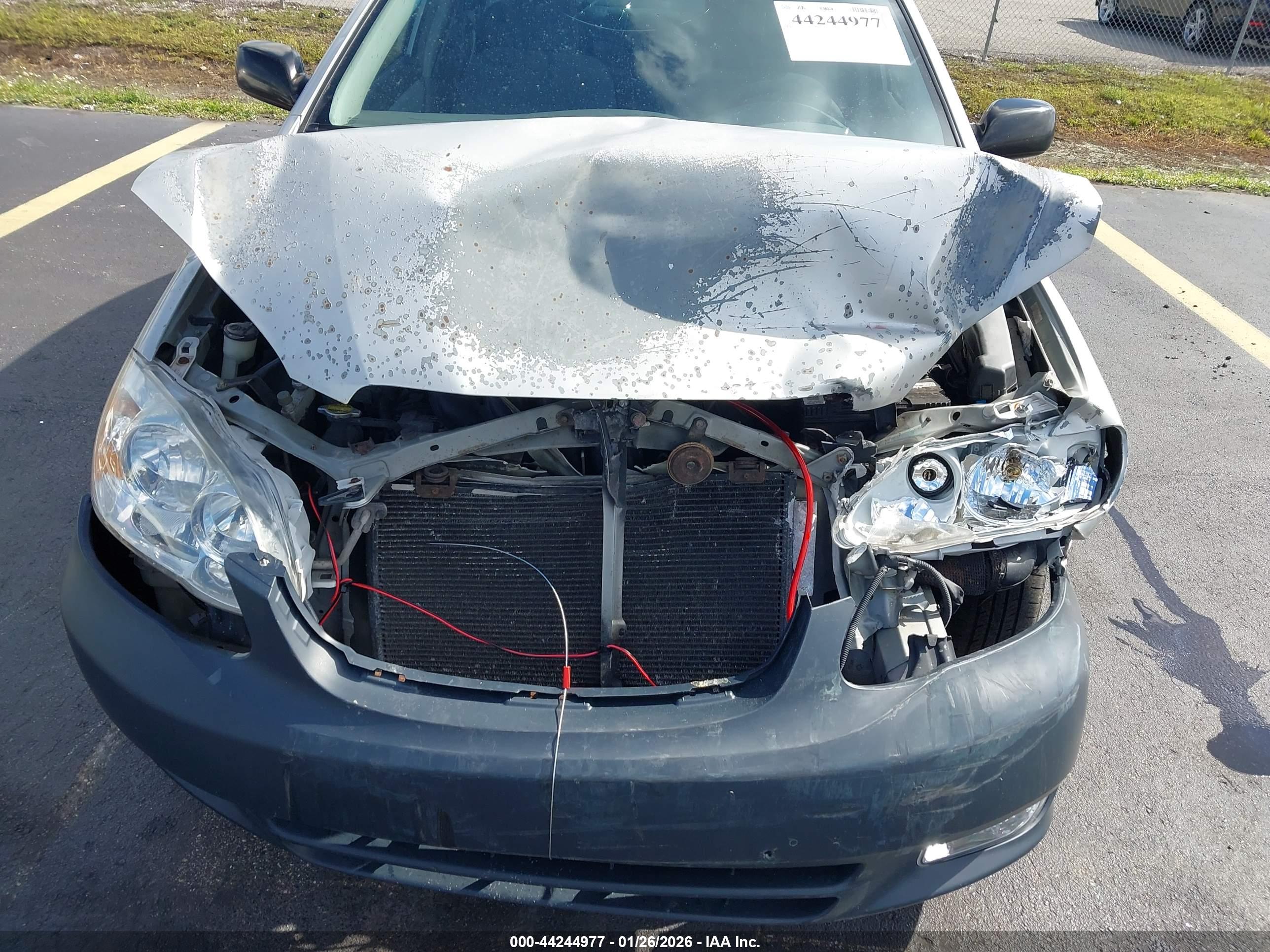 TOYOTA COROLLA image 6