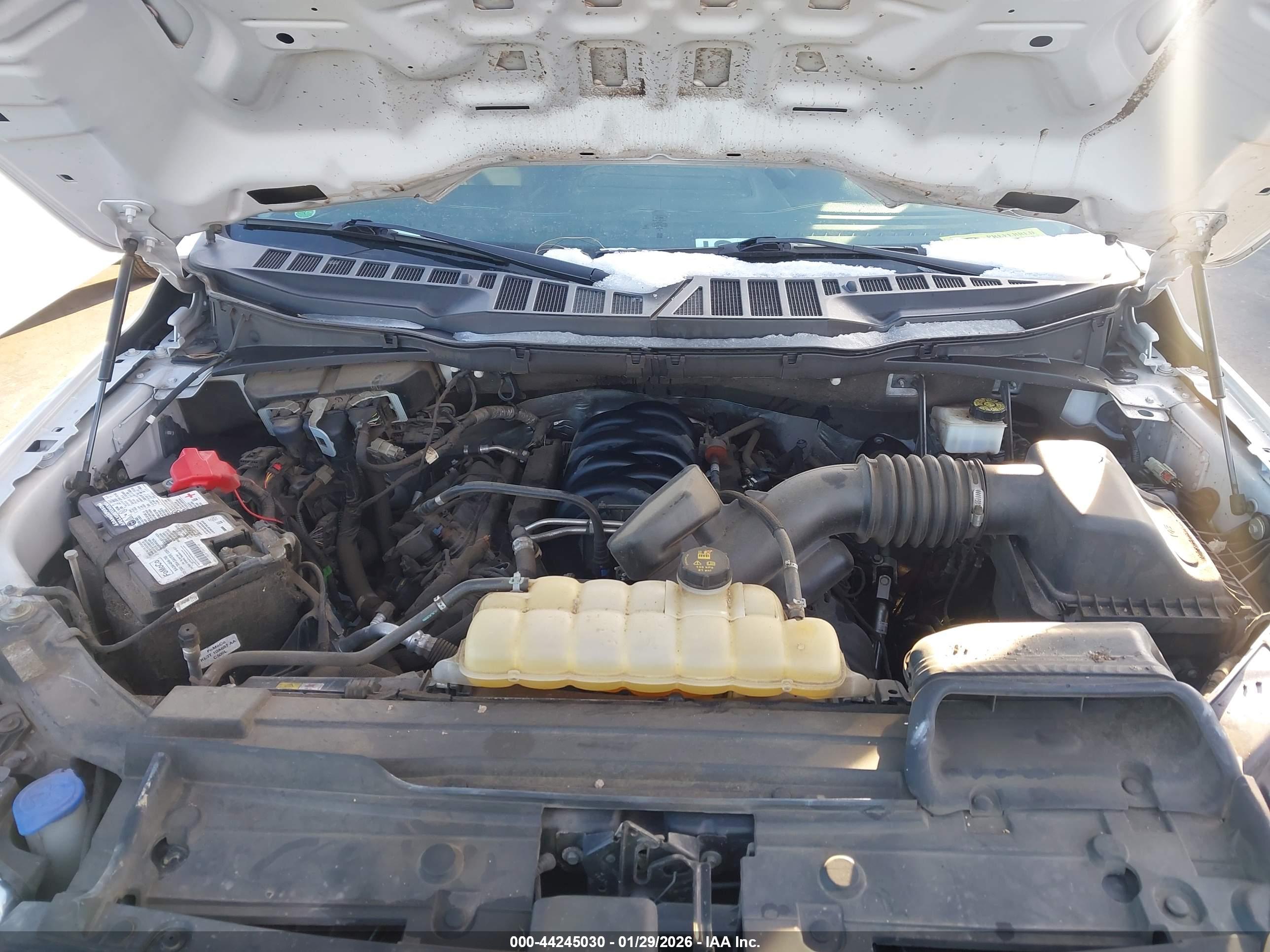 FORD F-150 image 10