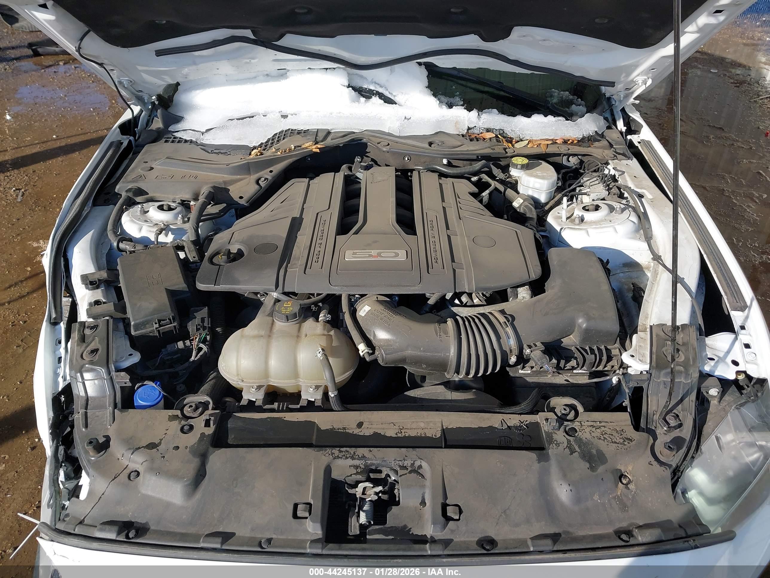 FORD MUSTANG image 10