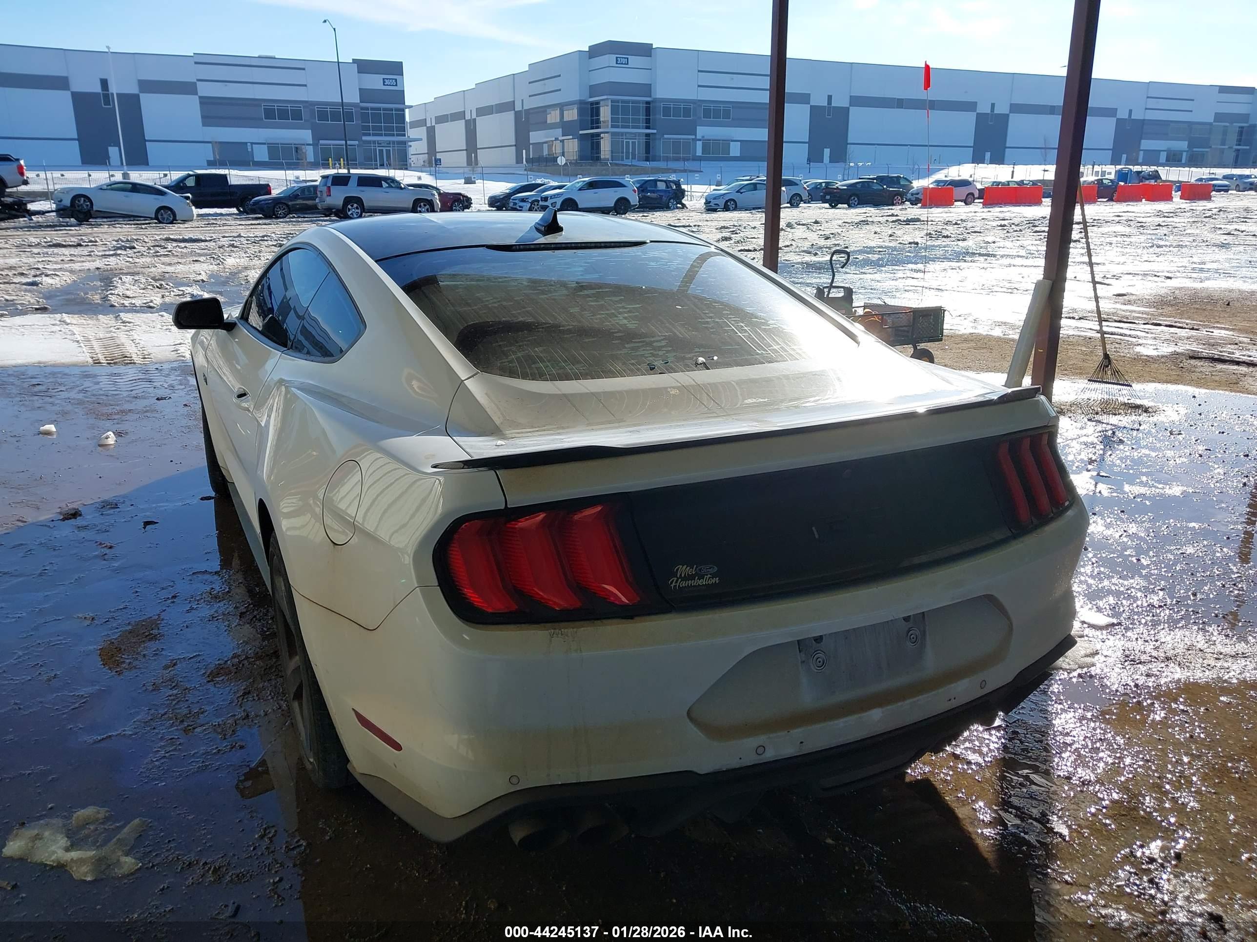 FORD MUSTANG image 3