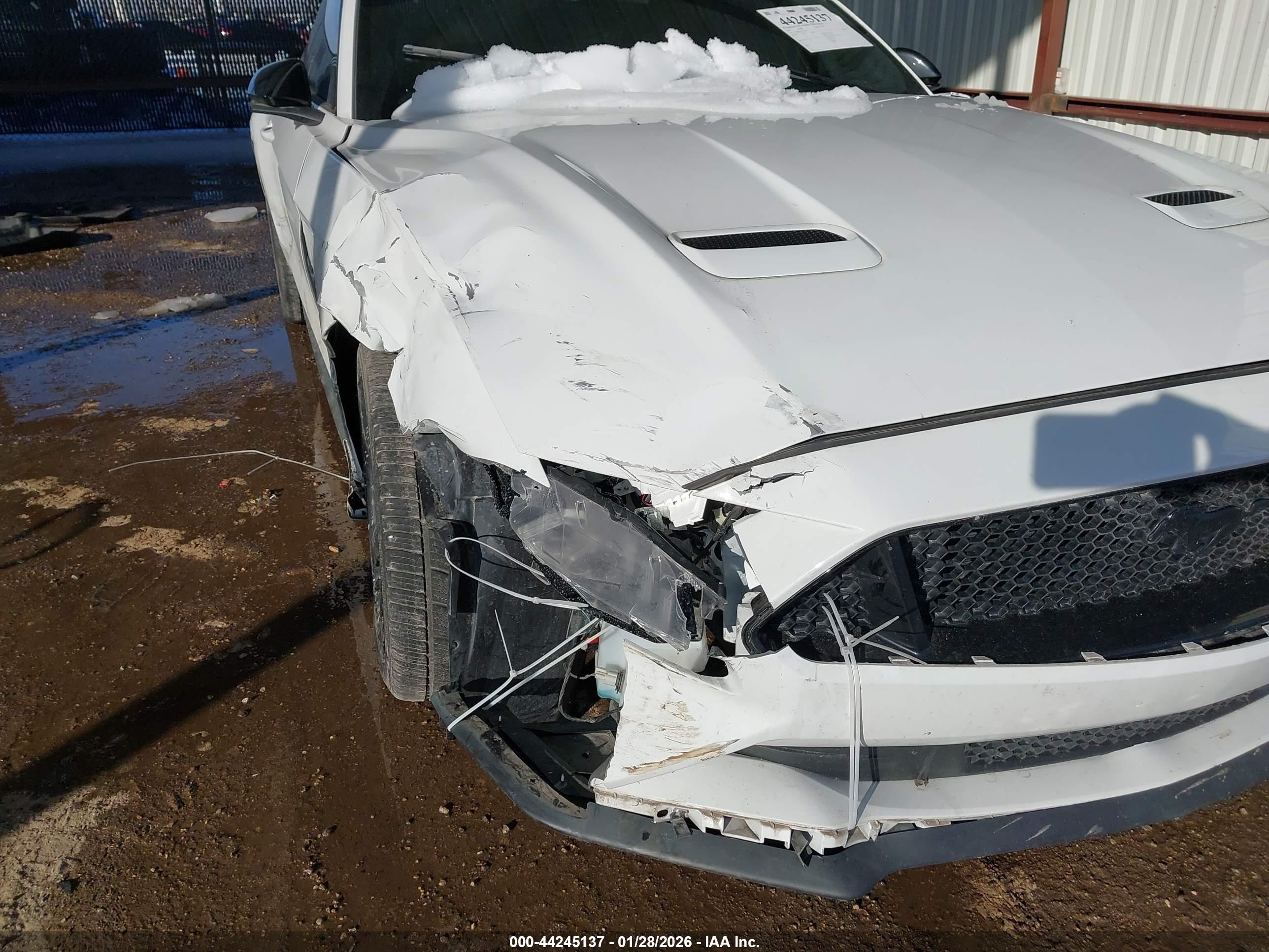FORD MUSTANG image 6