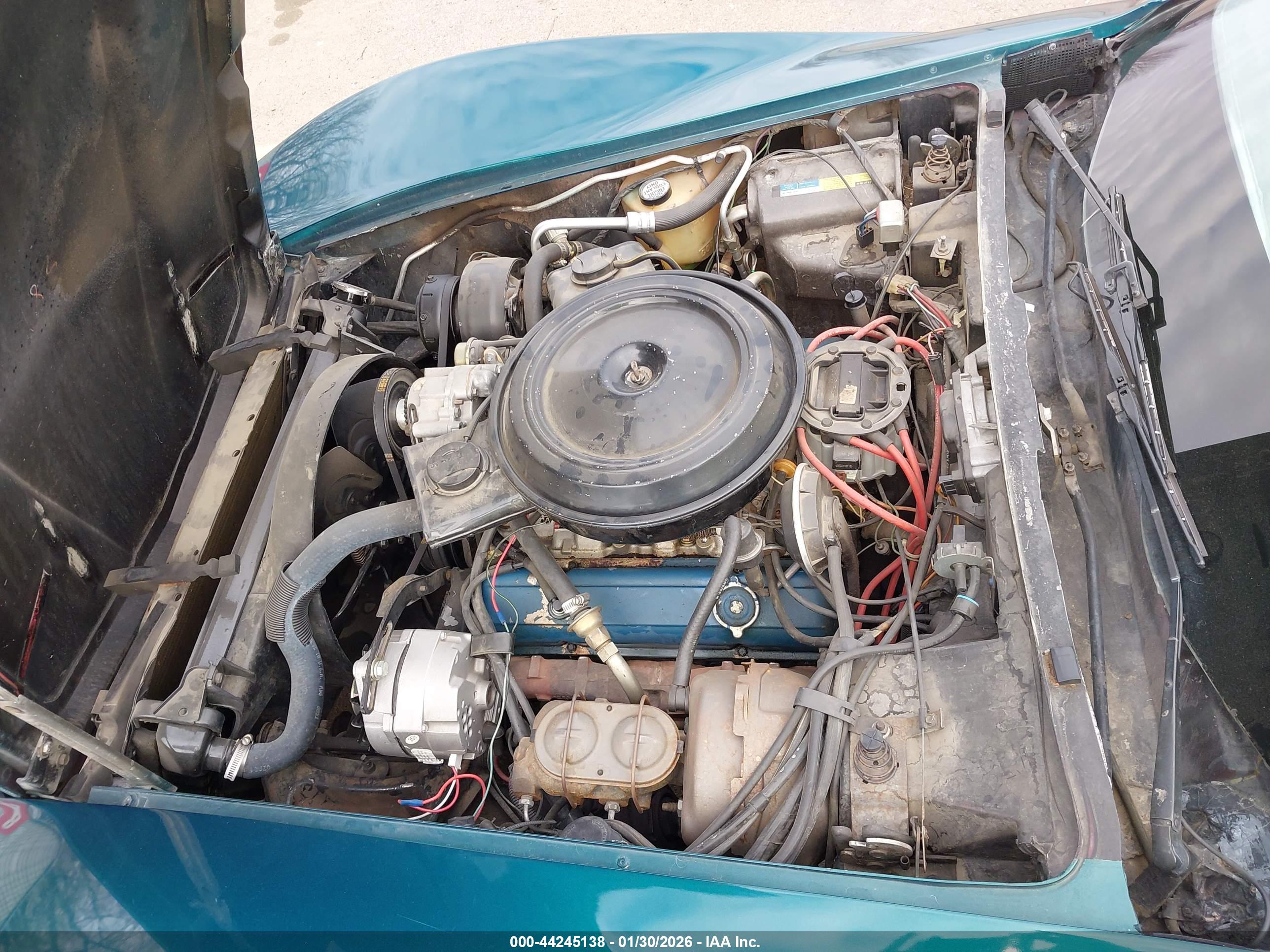 CHEVROLET CORVETTE image 10