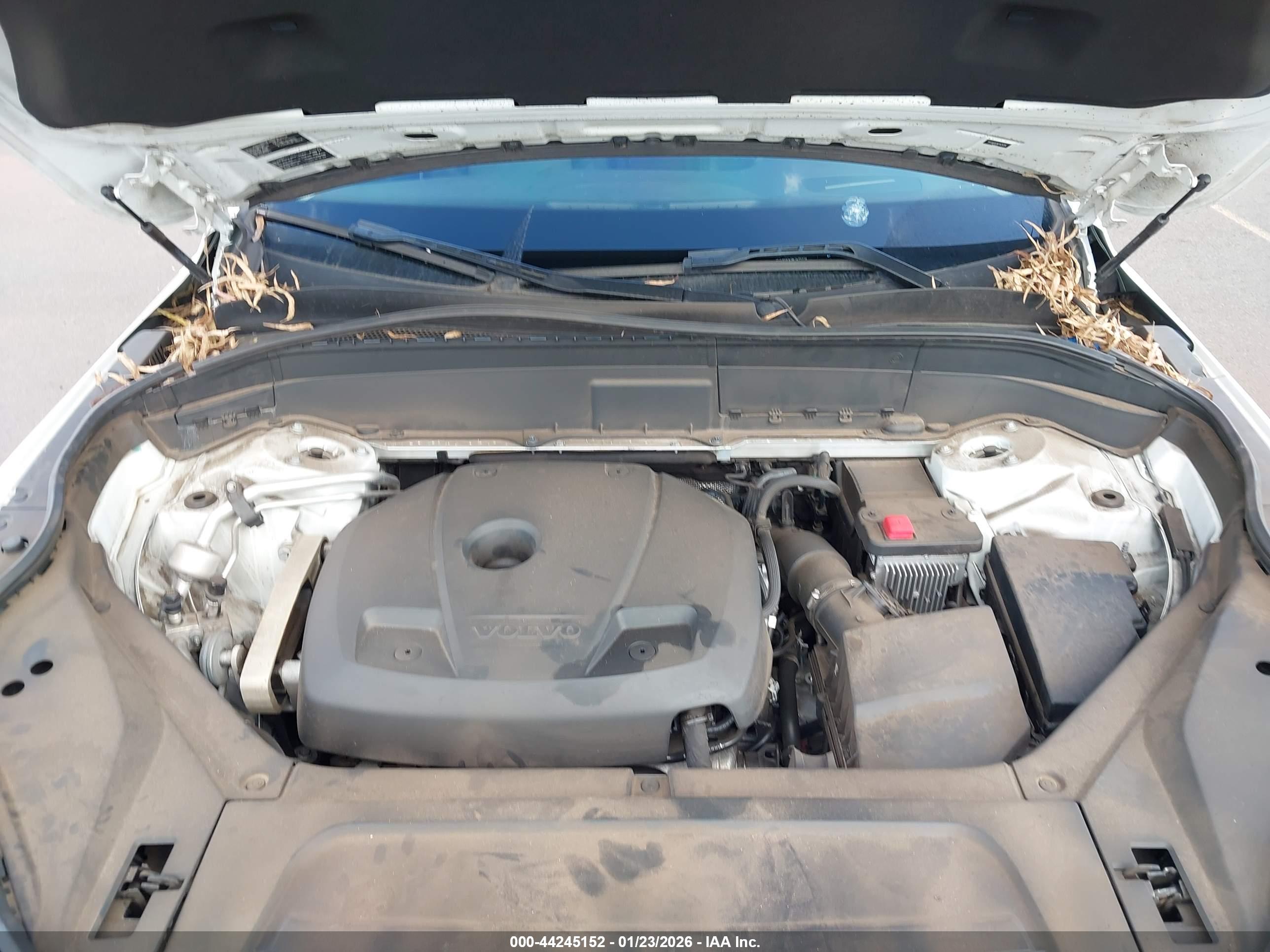 VOLVO XC90 image 10