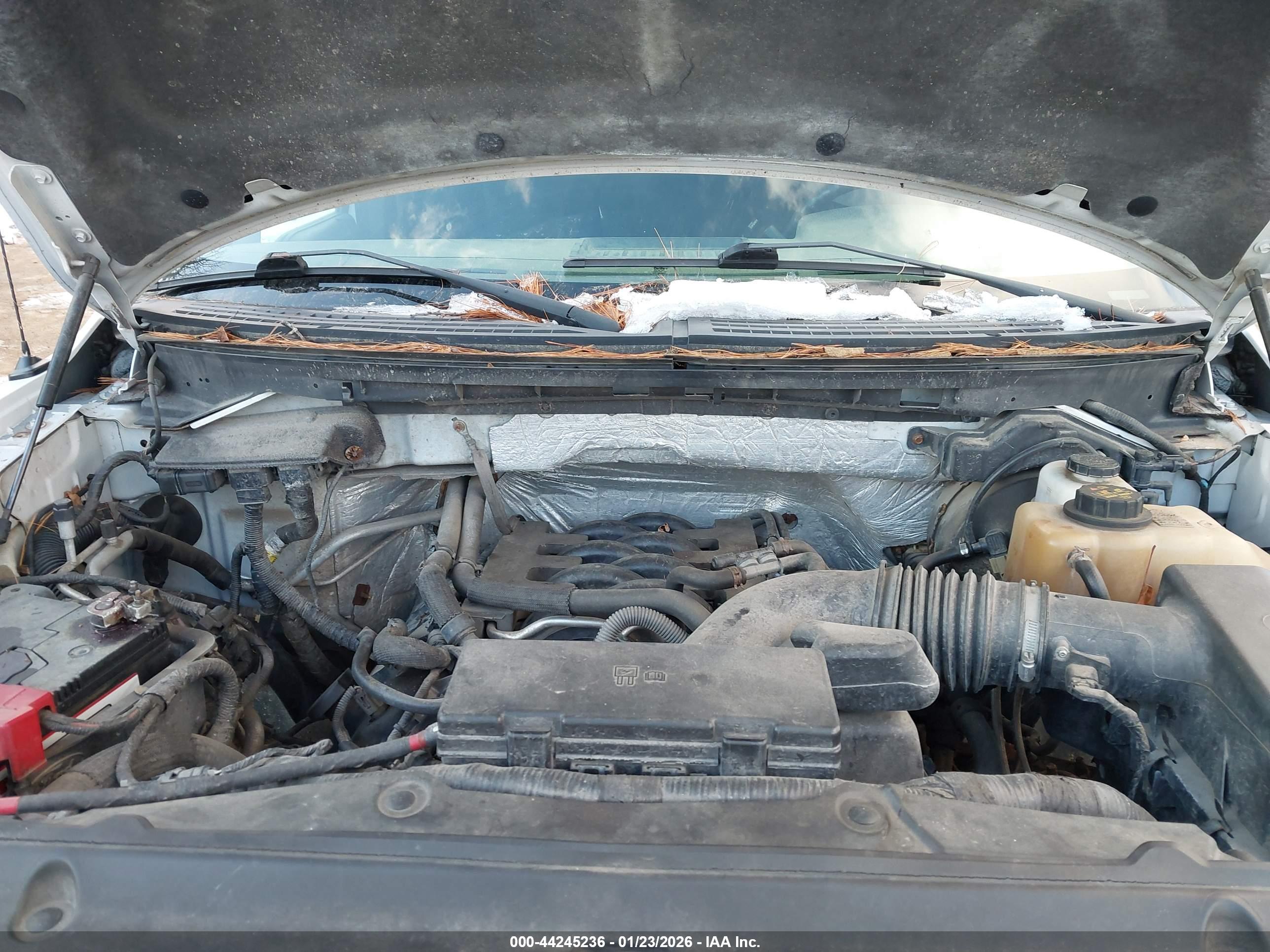FORD F-150 image 10