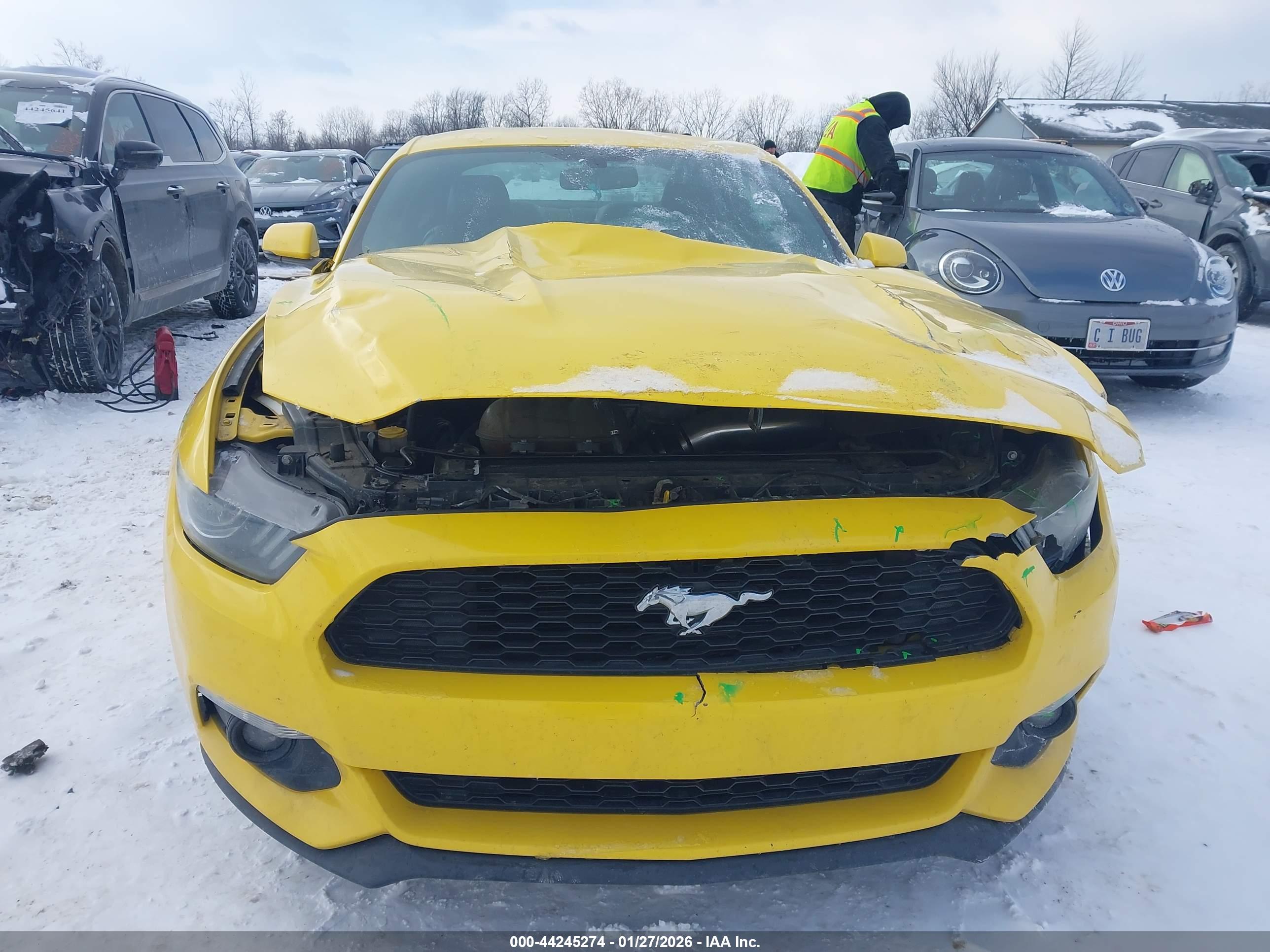 FORD MUSTANG image 6