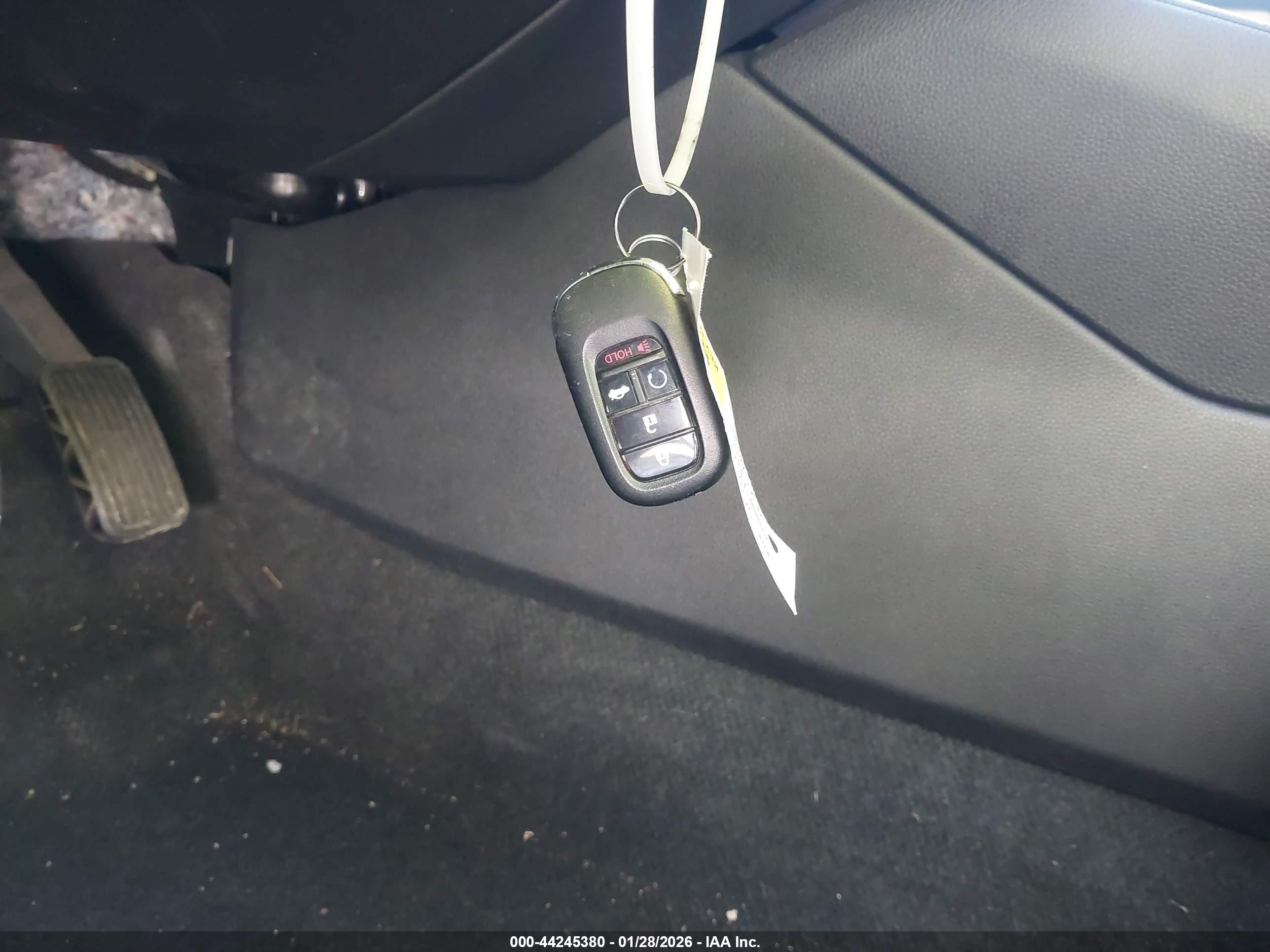 HONDA ACCORD image 11