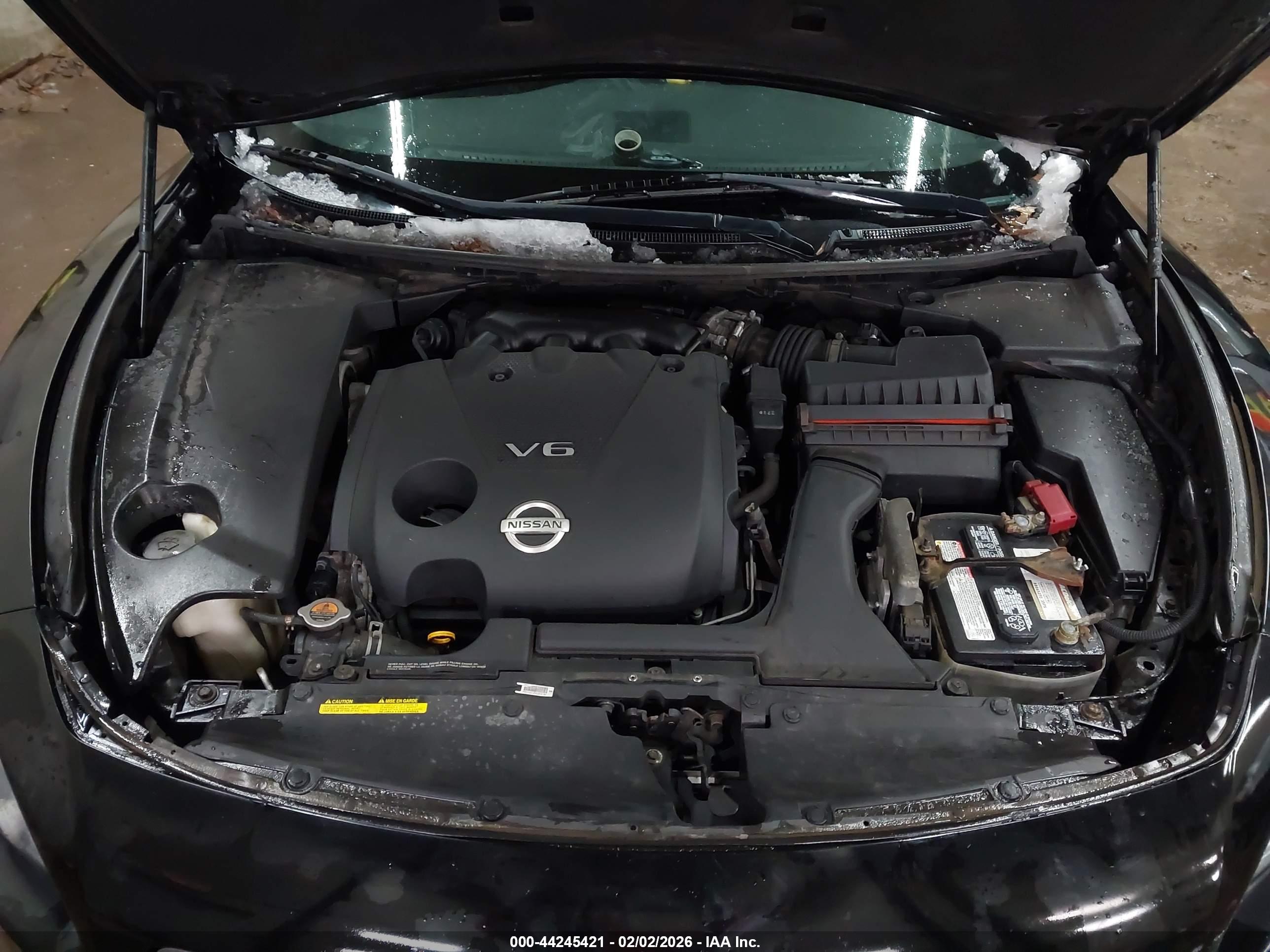 NISSAN MAXIMA image 10