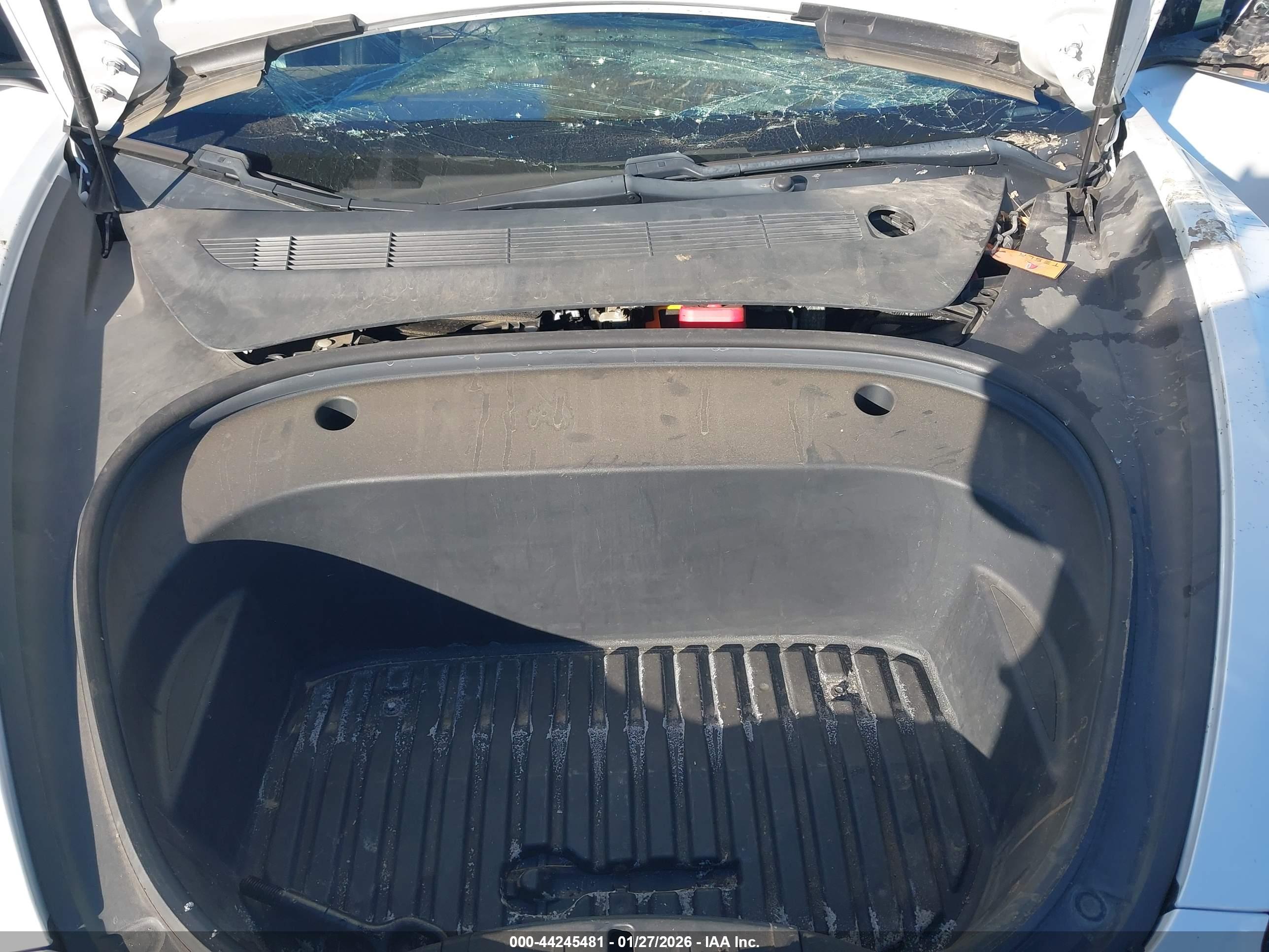 TESLA MODEL image 10