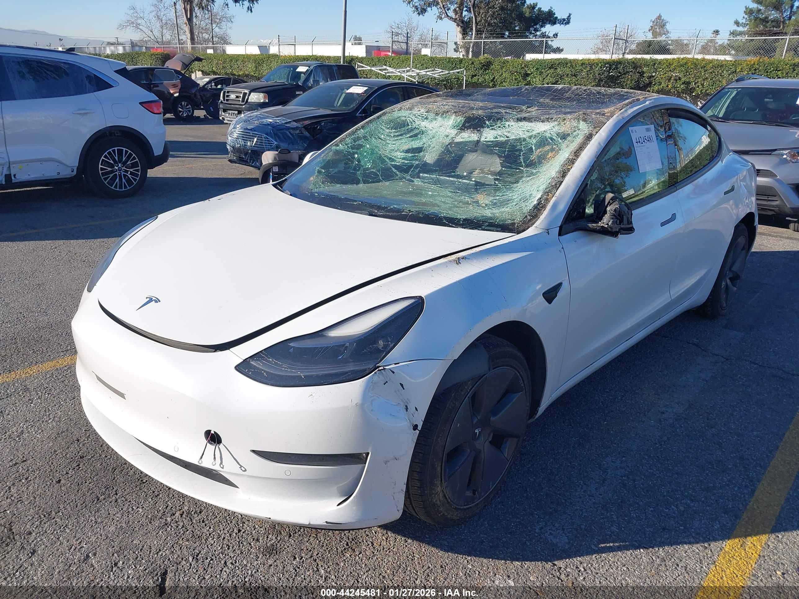 TESLA MODEL image 2