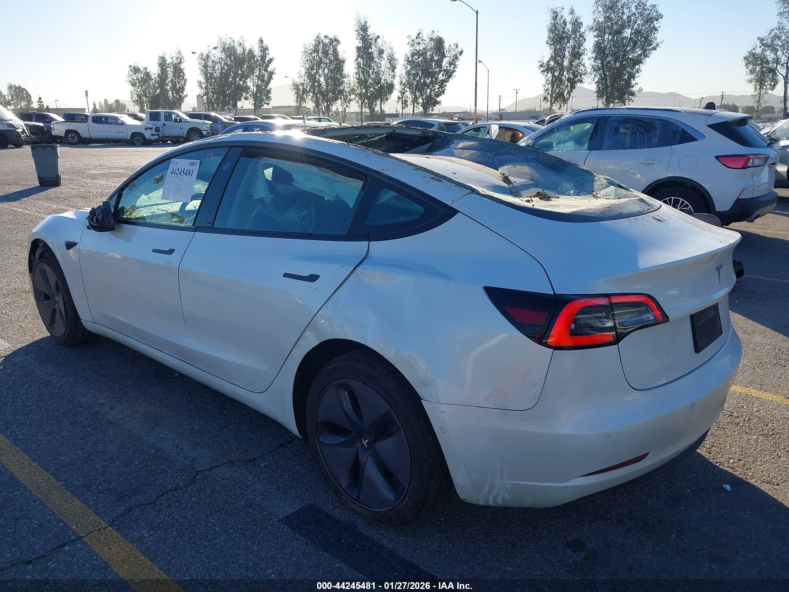 TESLA MODEL image 3