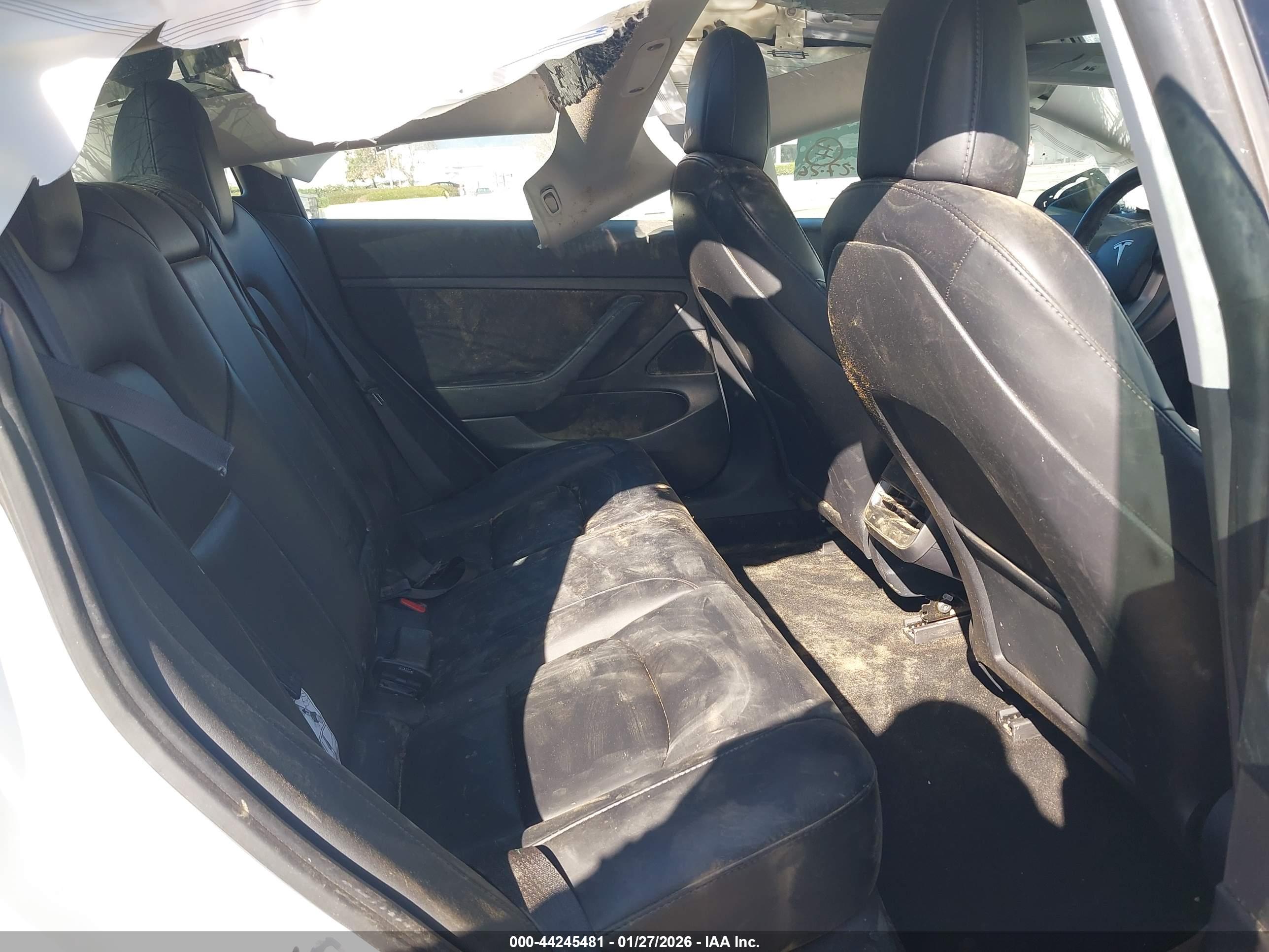 TESLA MODEL image 8