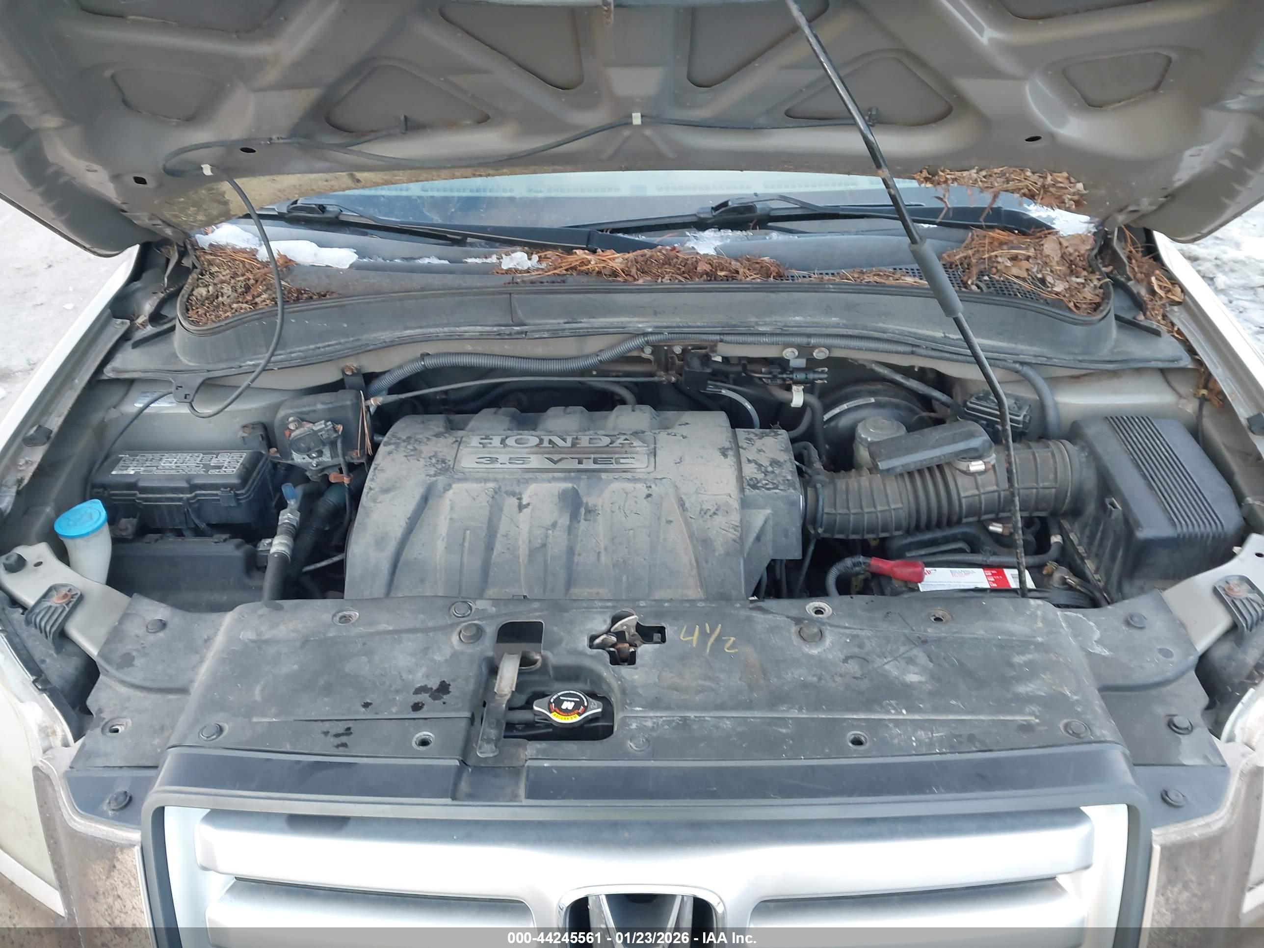 HONDA PILOT image 10