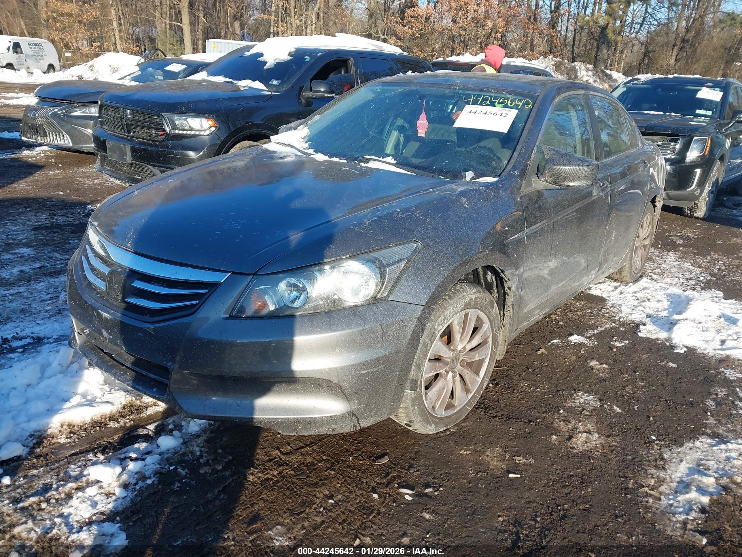HONDA ACCORD image 2