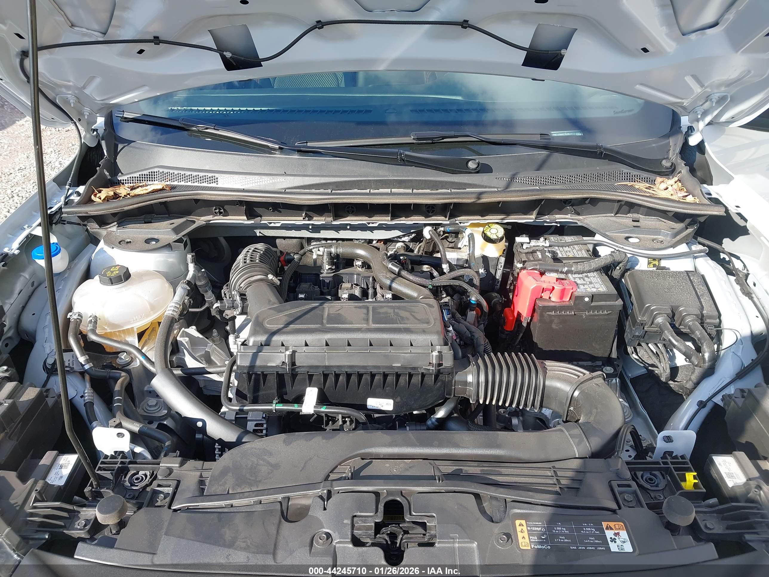 FORD ESCAPE image 10