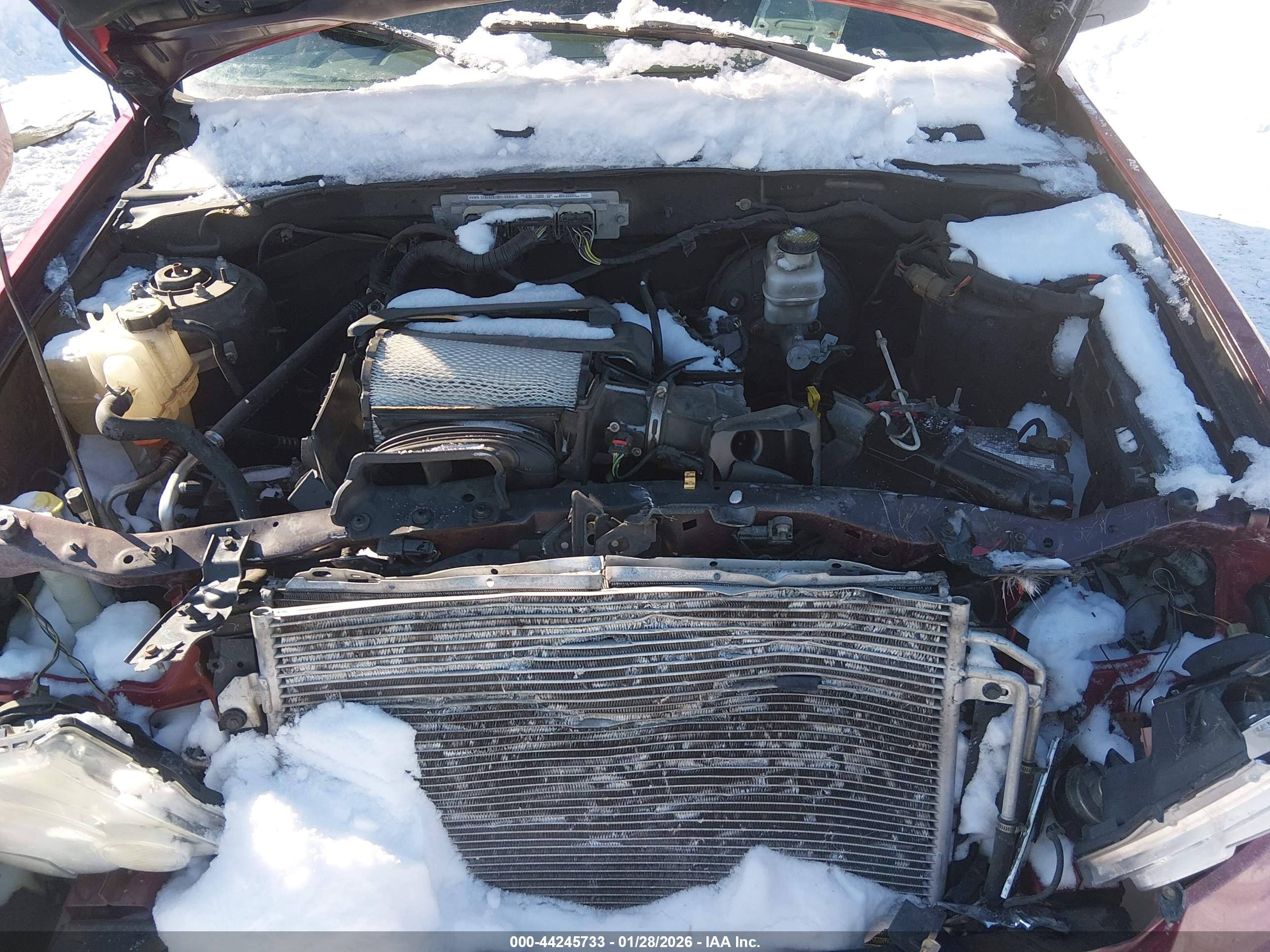 FORD ESCAPE image 10