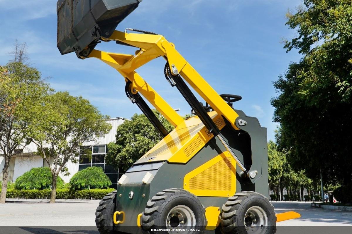 SKID STEER image 5