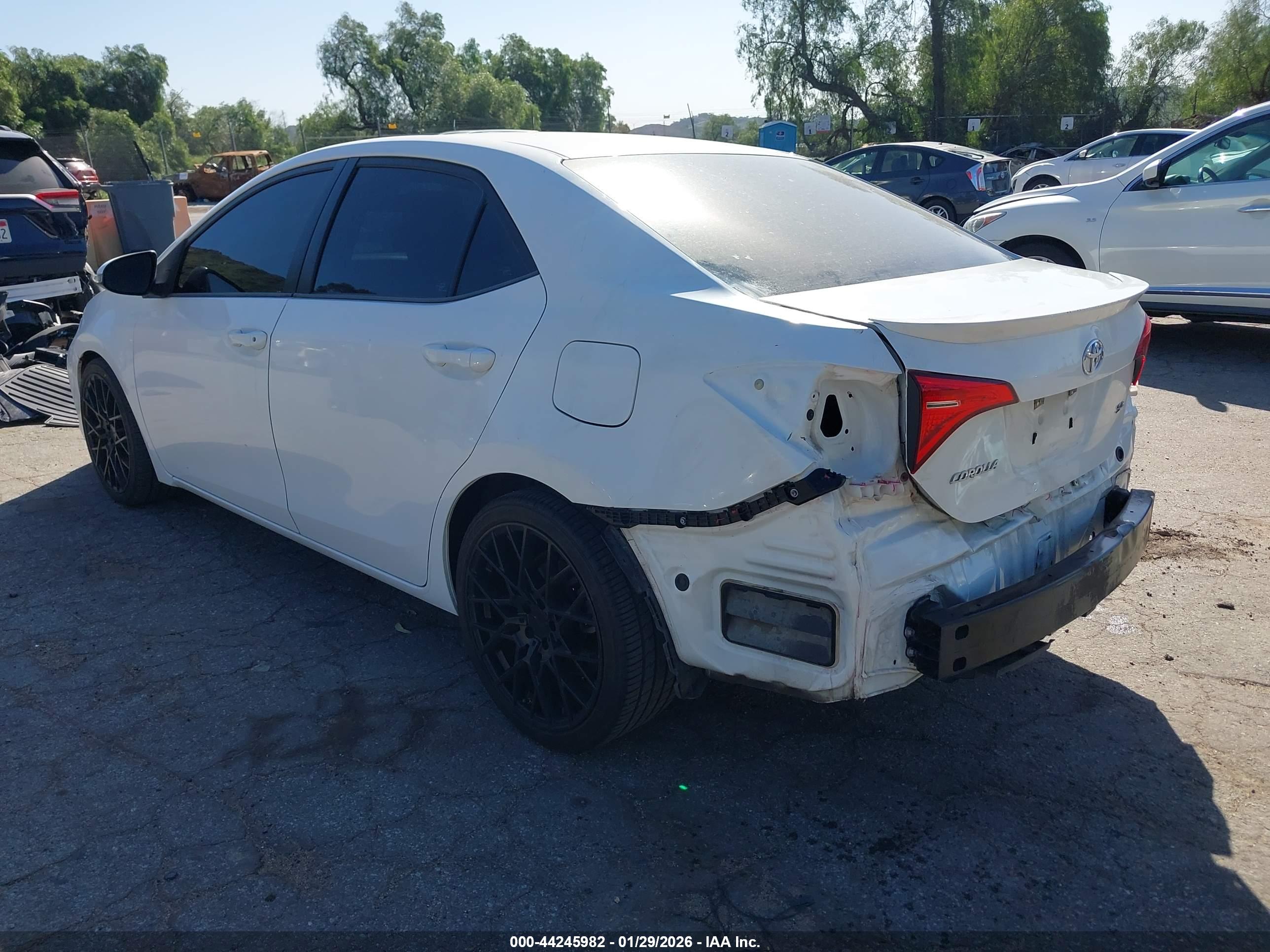 TOYOTA COROLLA image 3