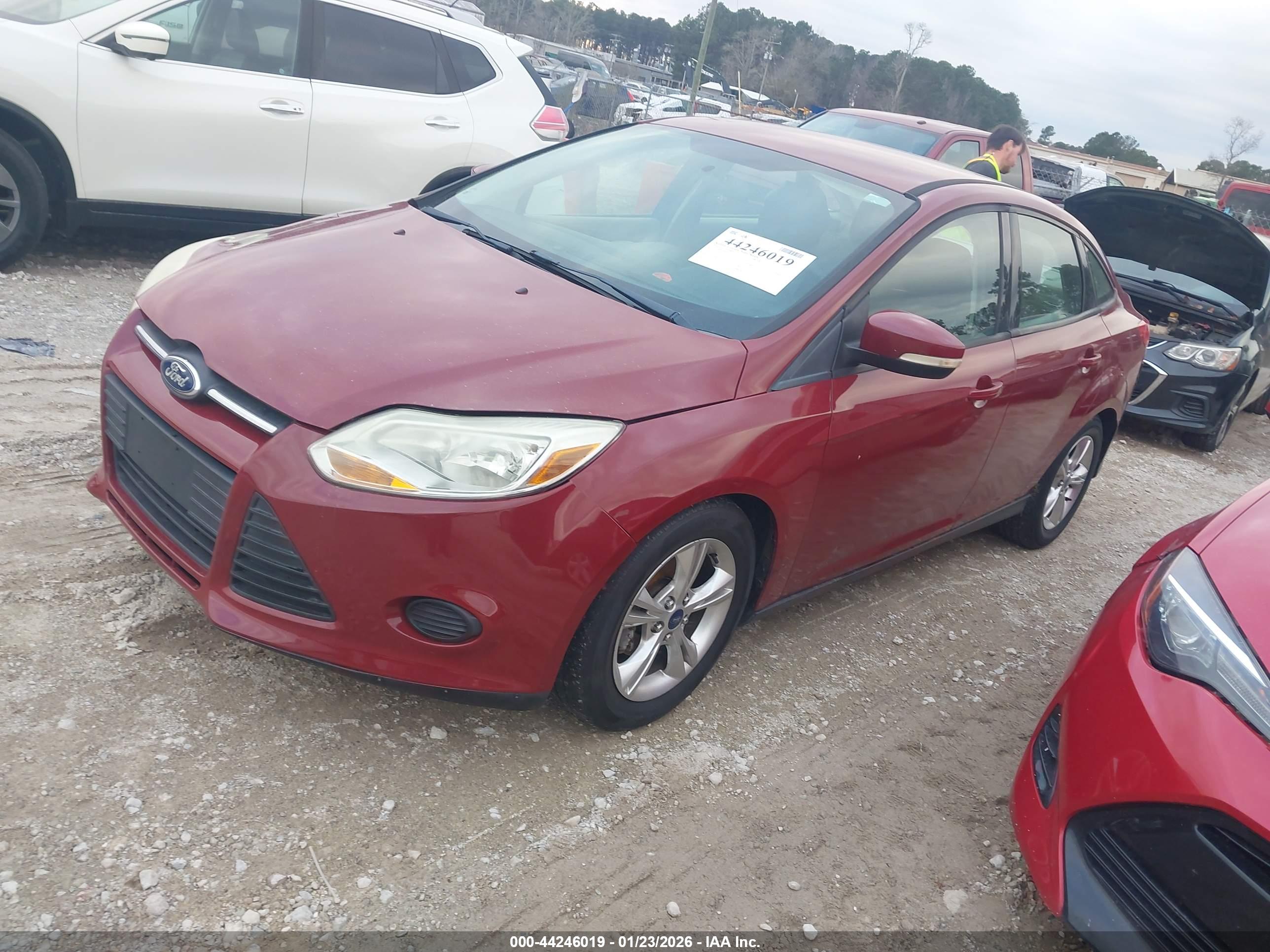 FORD FOCUS image 2