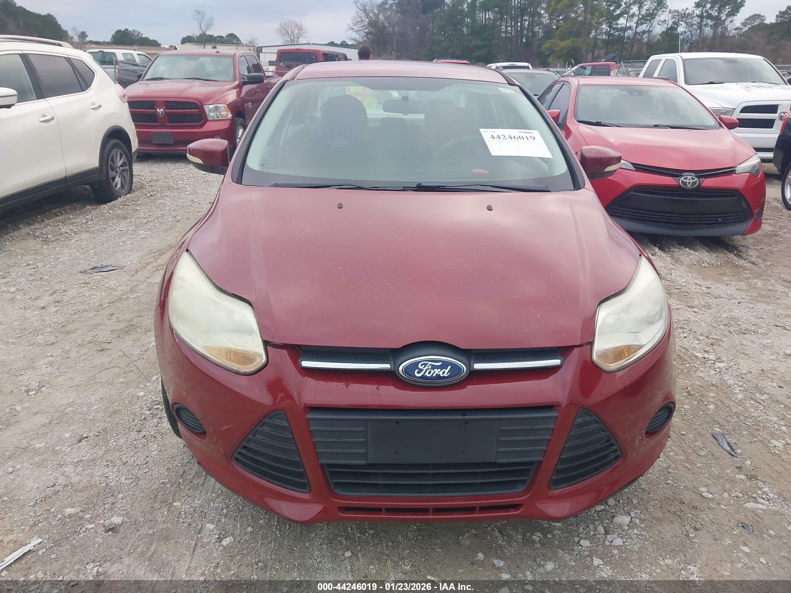 FORD FOCUS image 6
