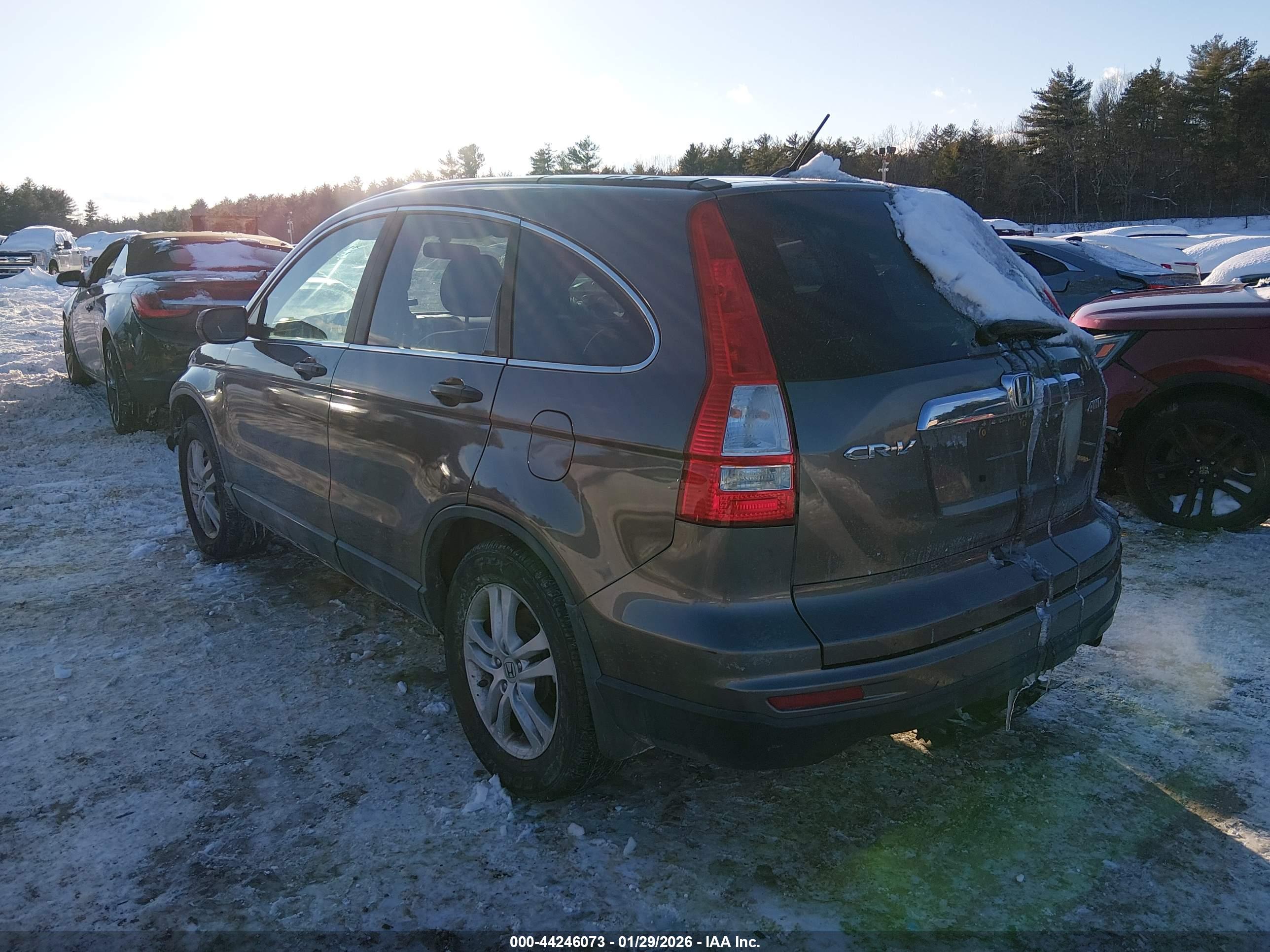 HONDA CR-V image 3