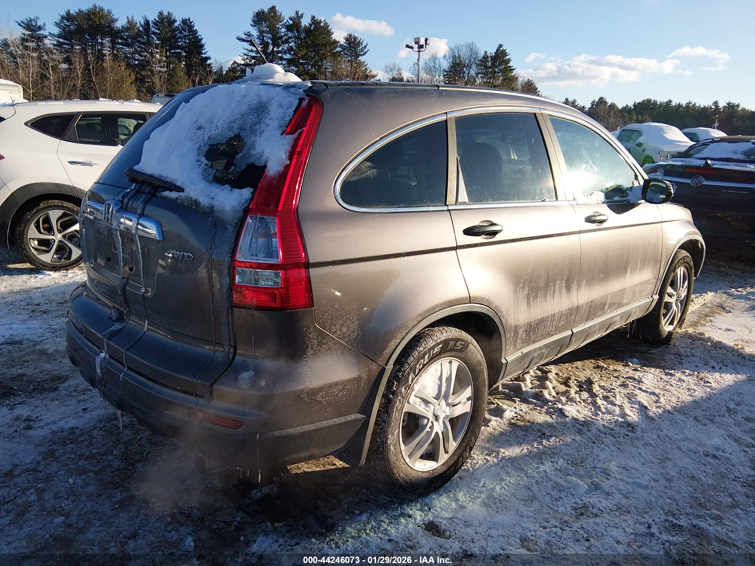 HONDA CR-V image 4