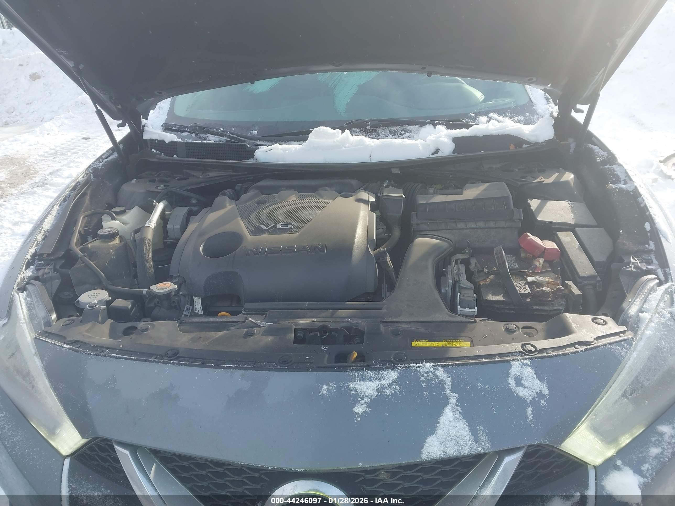 NISSAN MAXIMA image 10
