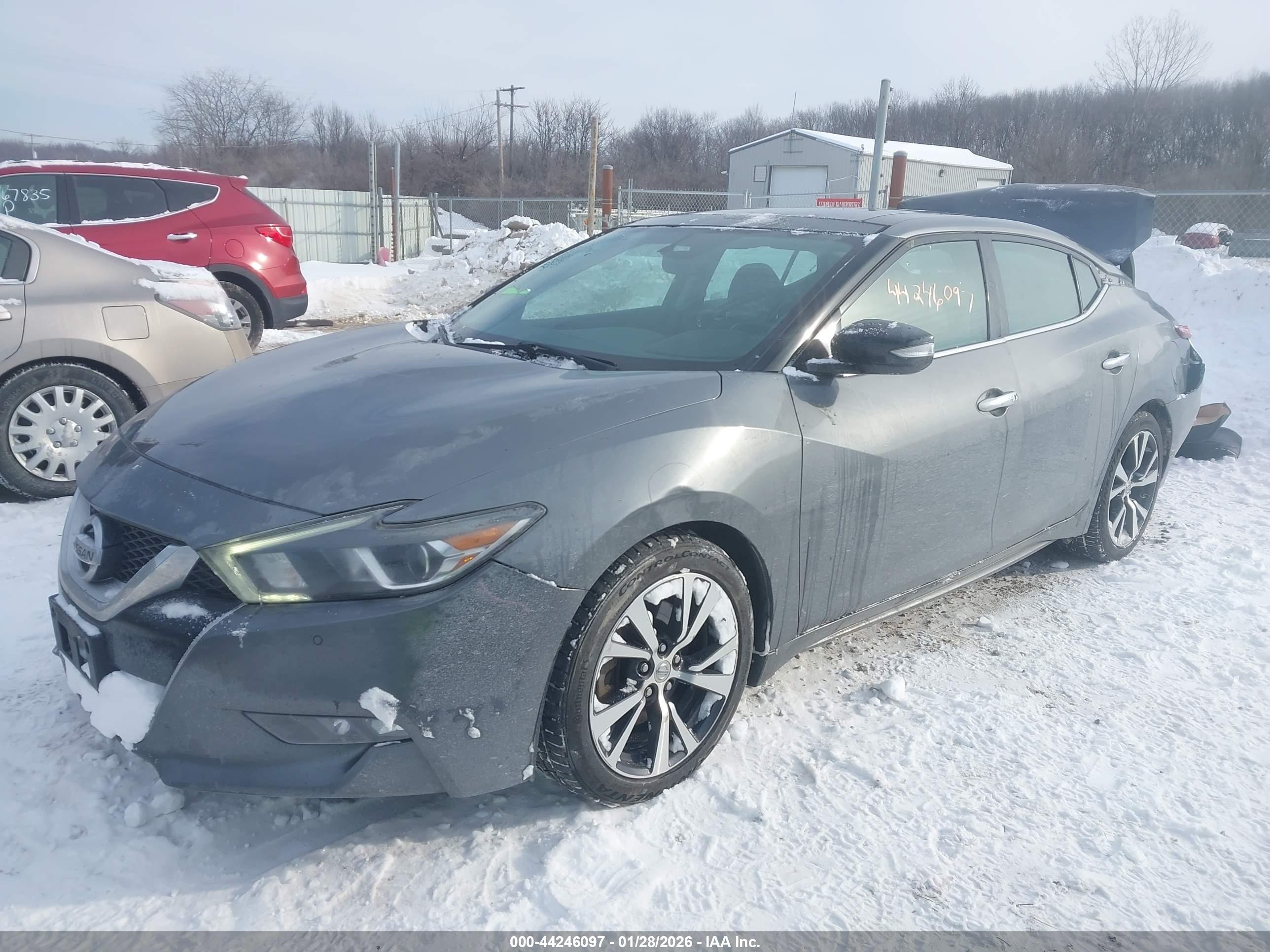 NISSAN MAXIMA image 2