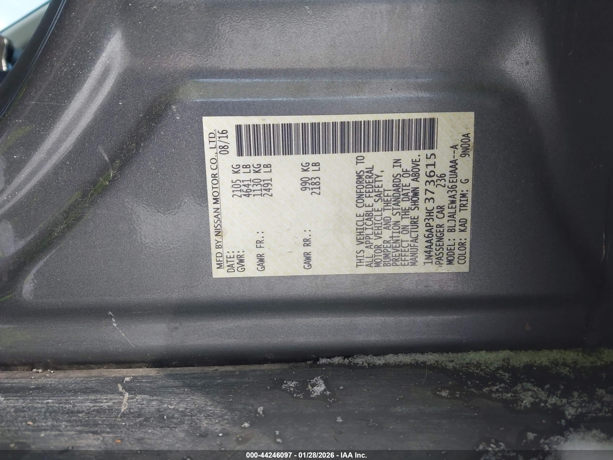 NISSAN MAXIMA image 9