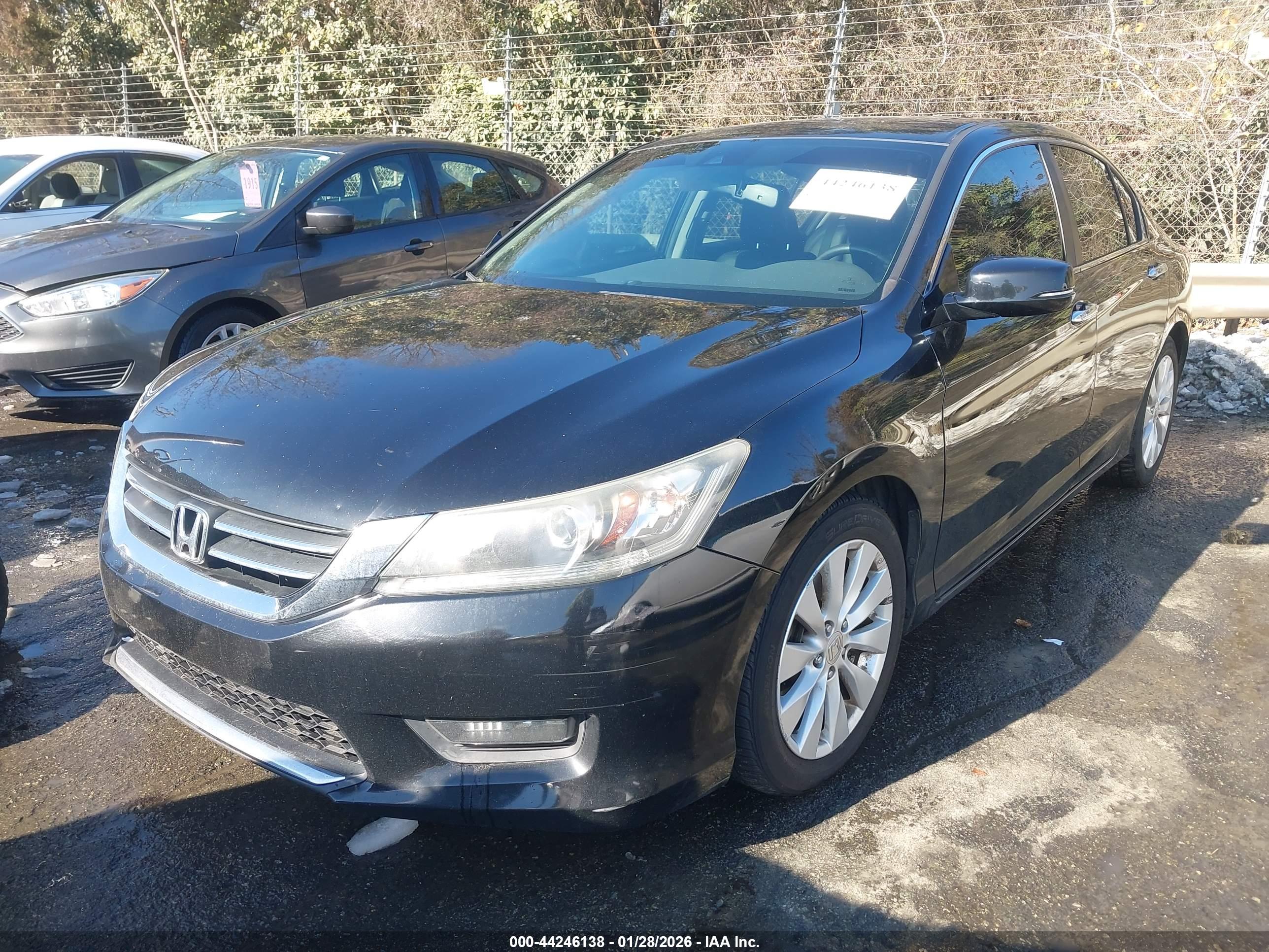 HONDA ACCORD image 2