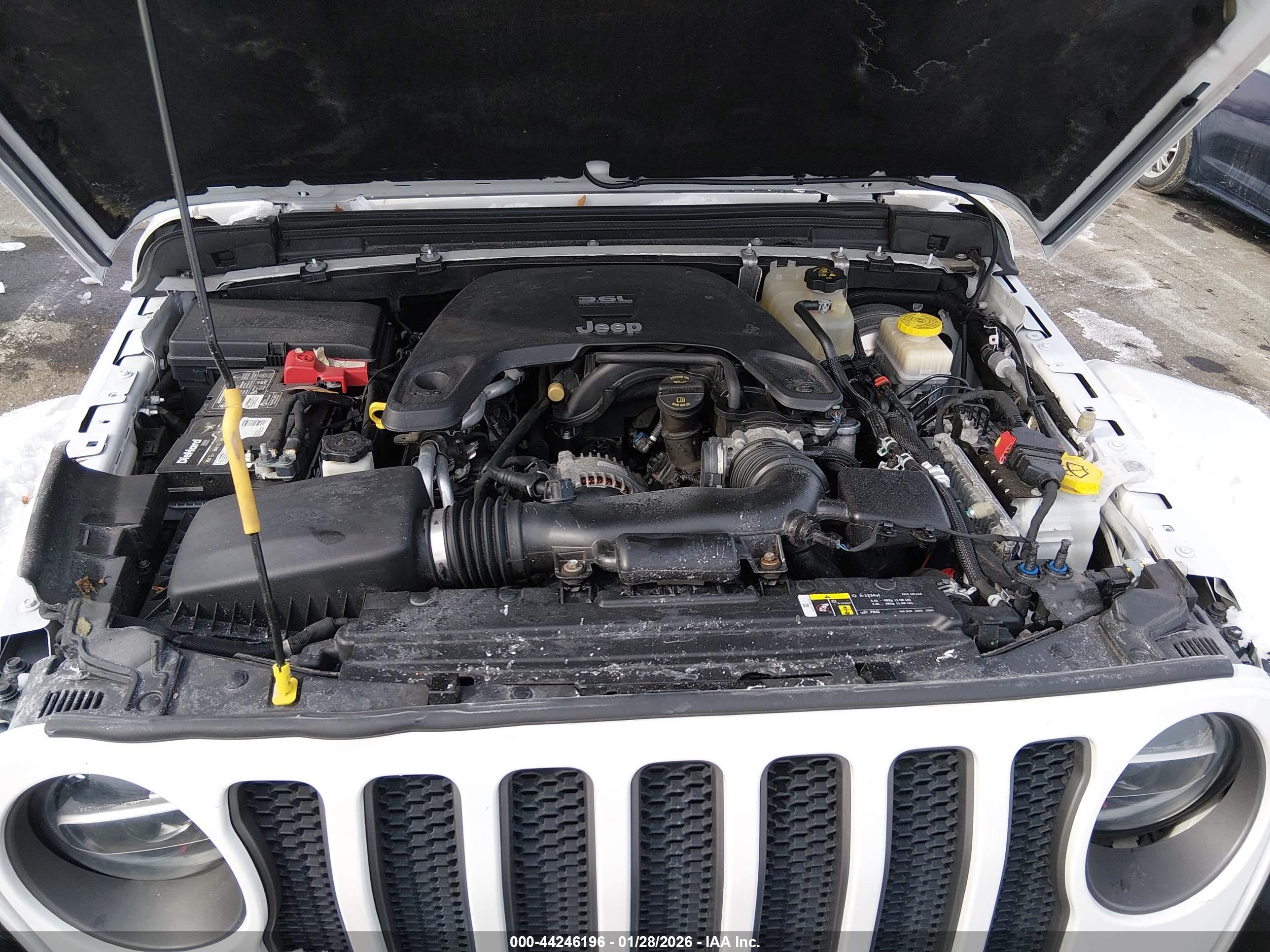 JEEP WRANGLER image 10