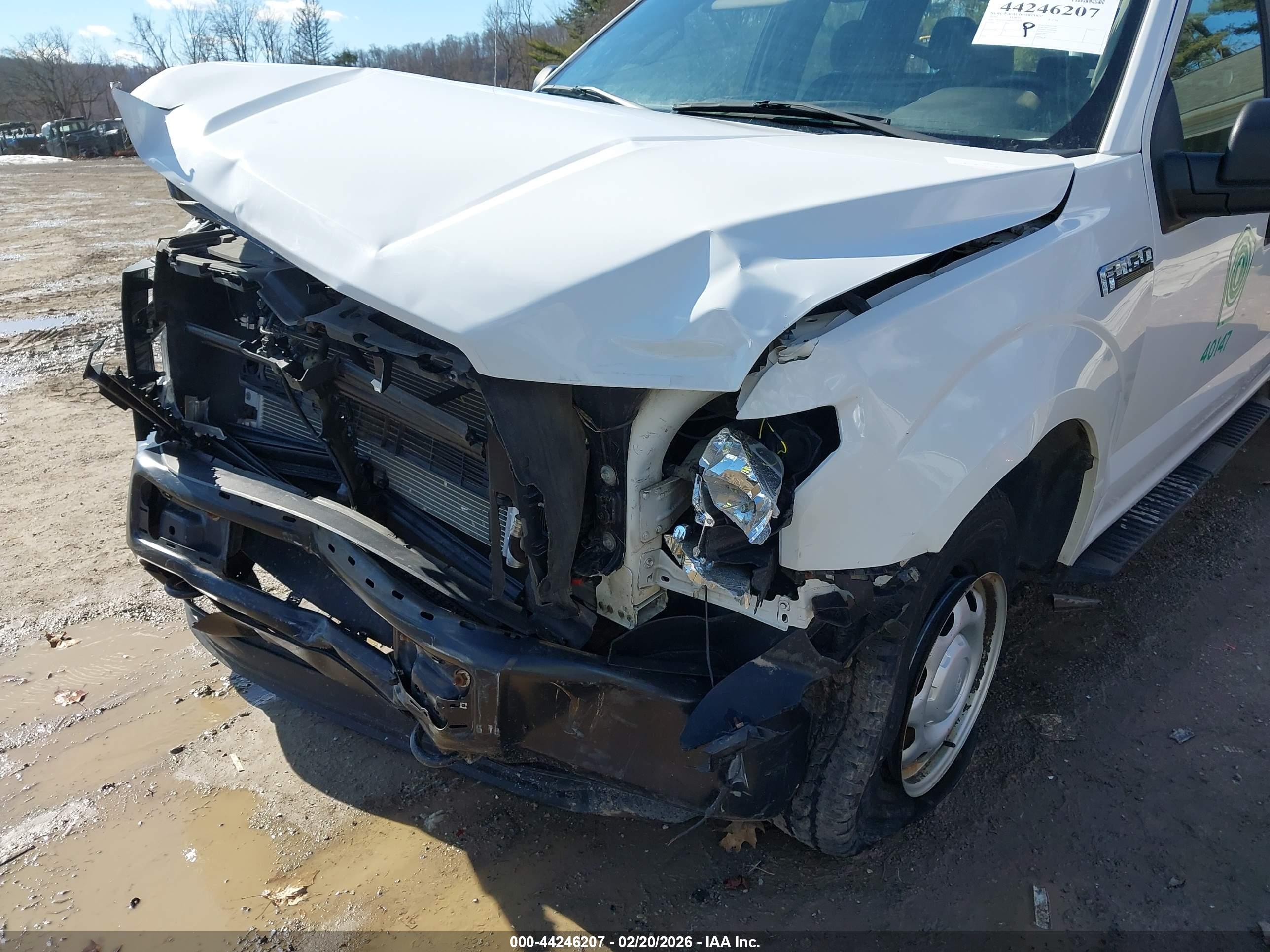 FORD F-150 image 6