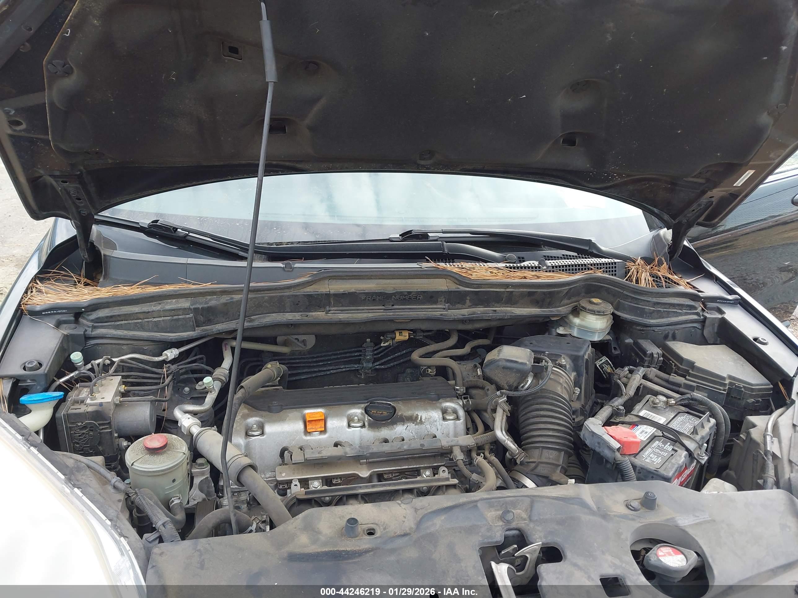 HONDA CR-V image 10