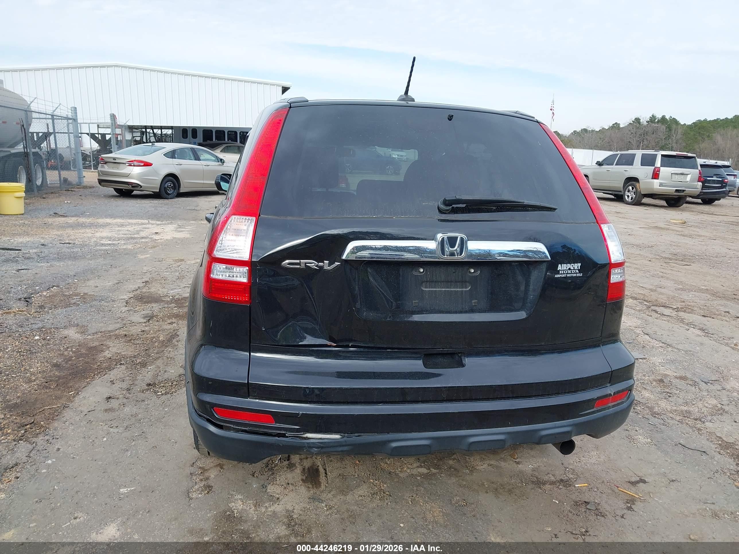 HONDA CR-V image 6
