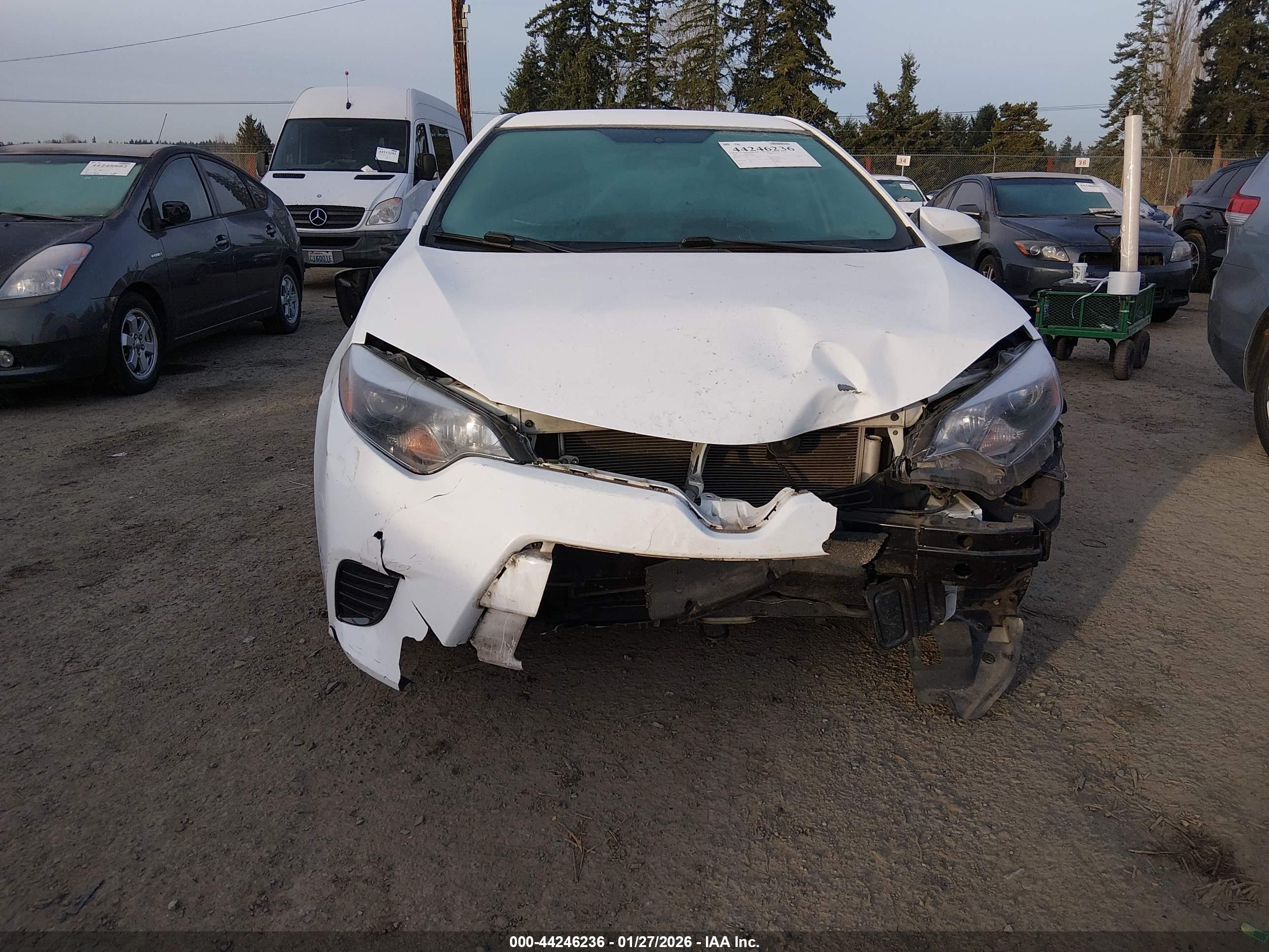 TOYOTA COROLLA image 6