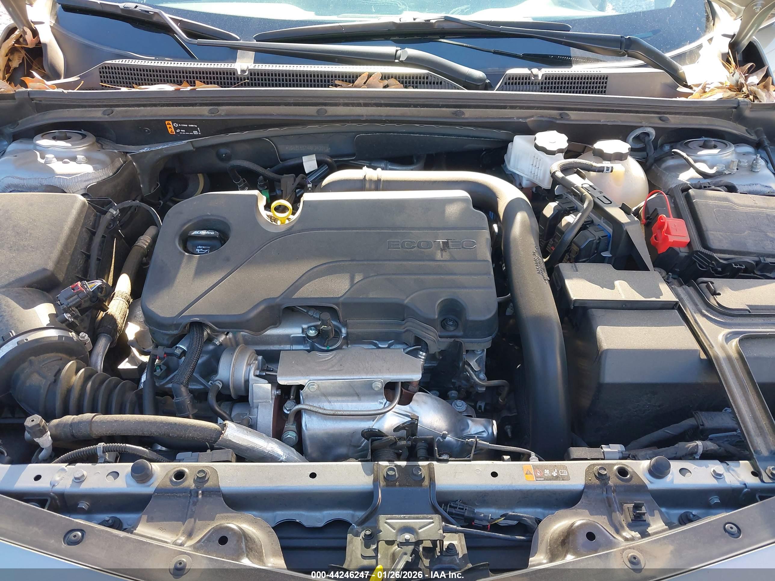 CHEVROLET MALIBU image 10