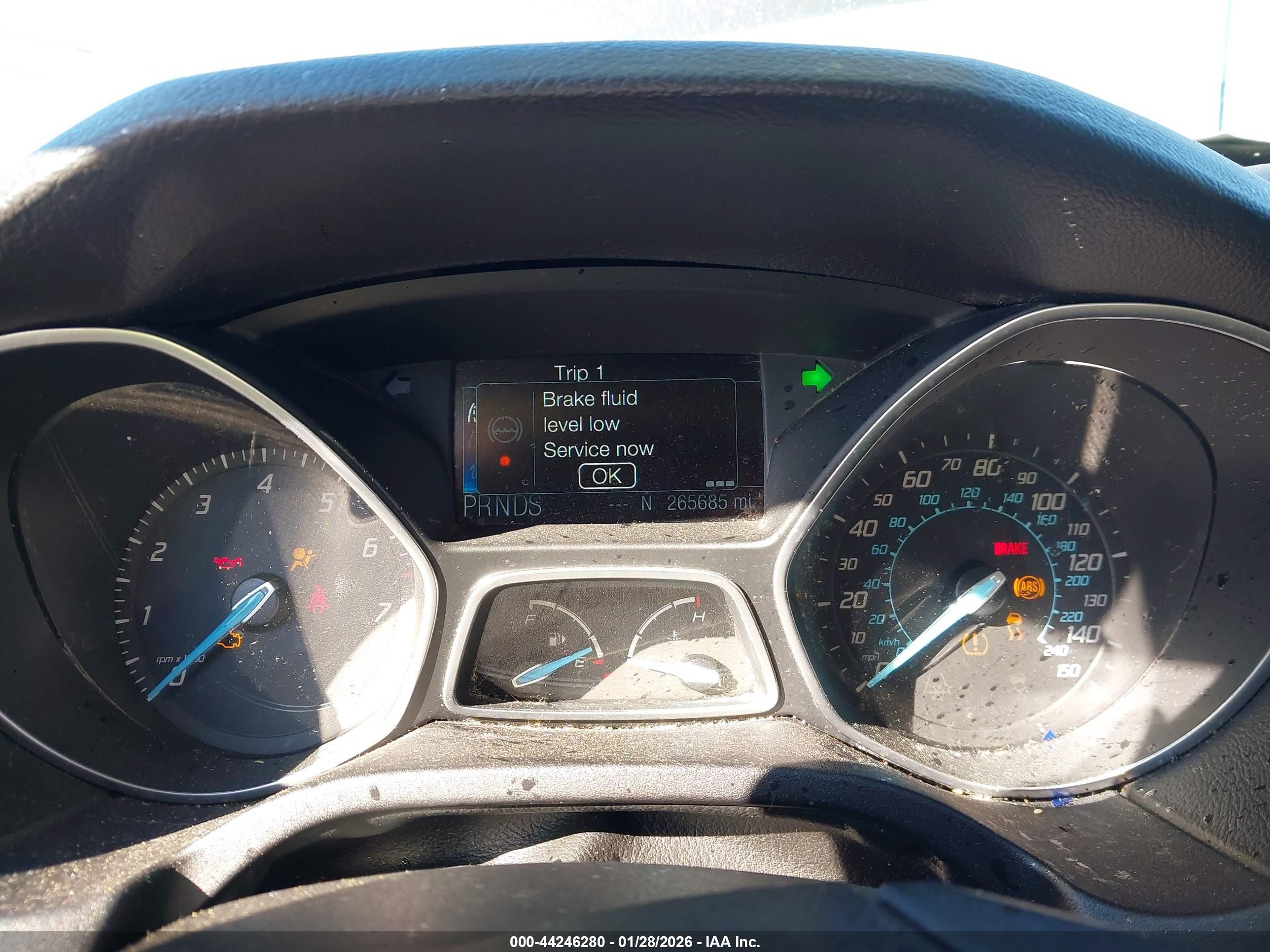 FORD FOCUS image 7