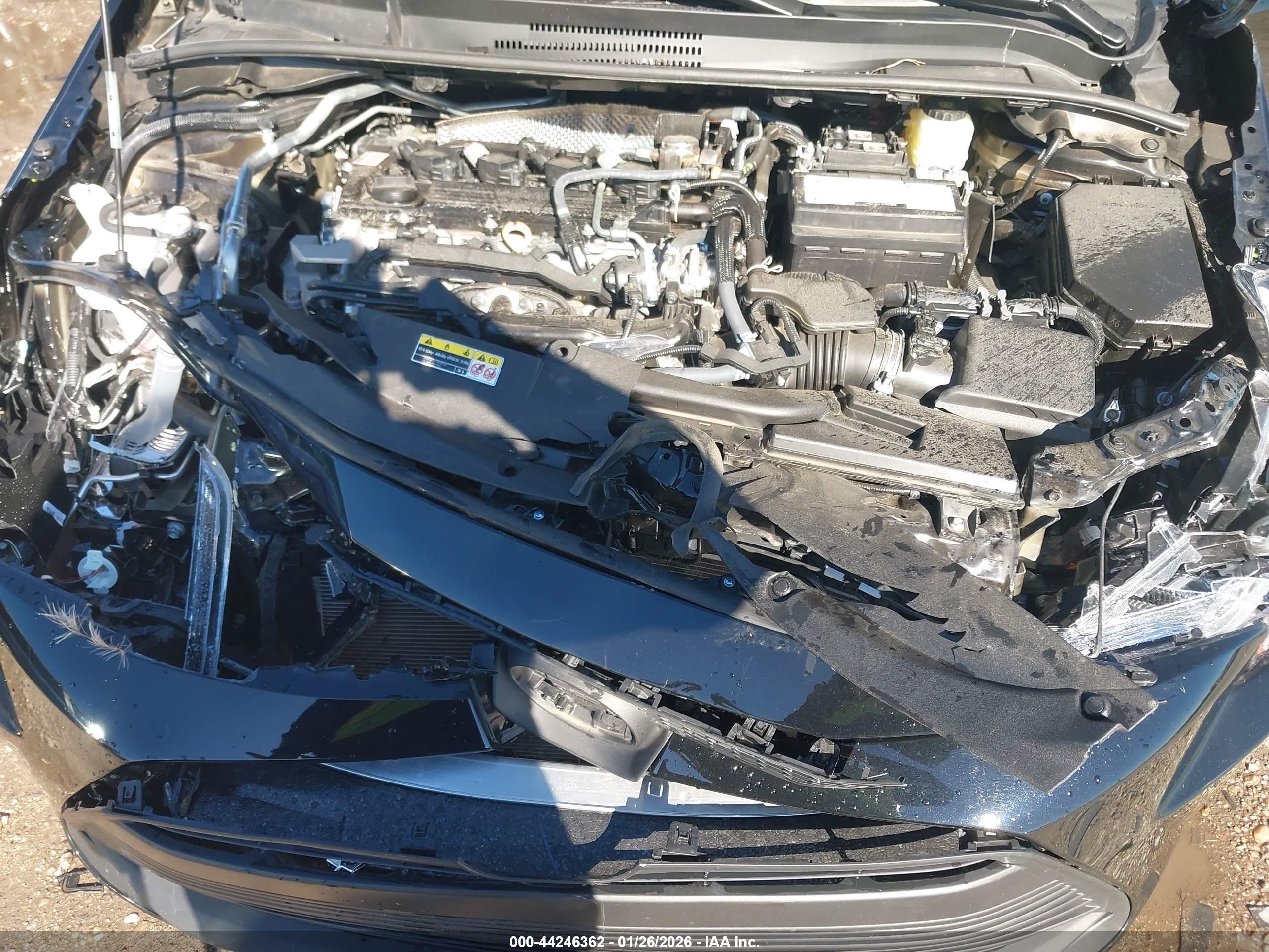 TOYOTA COROLLA image 10