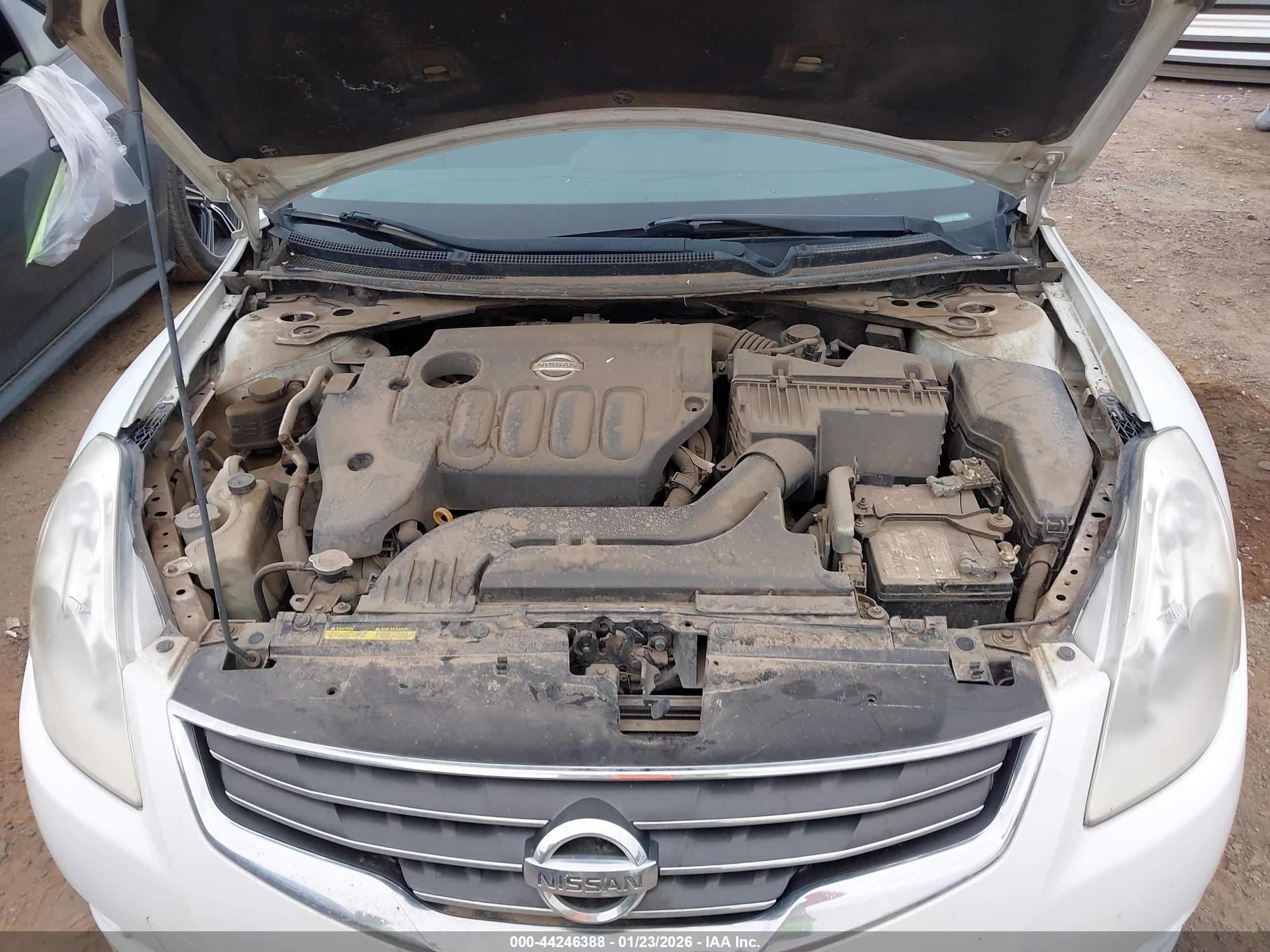 NISSAN ALTIMA image 10