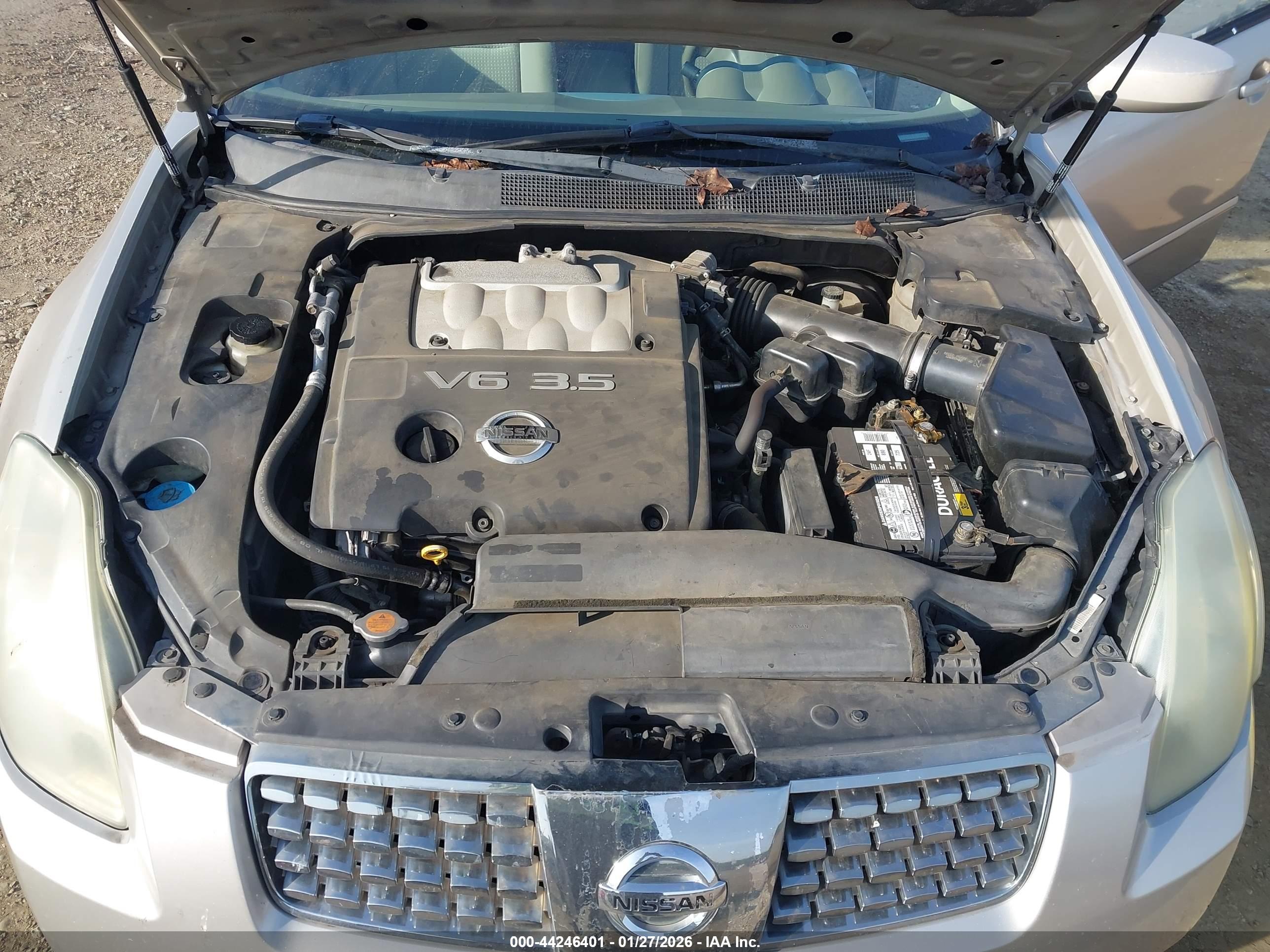 NISSAN MAXIMA image 10