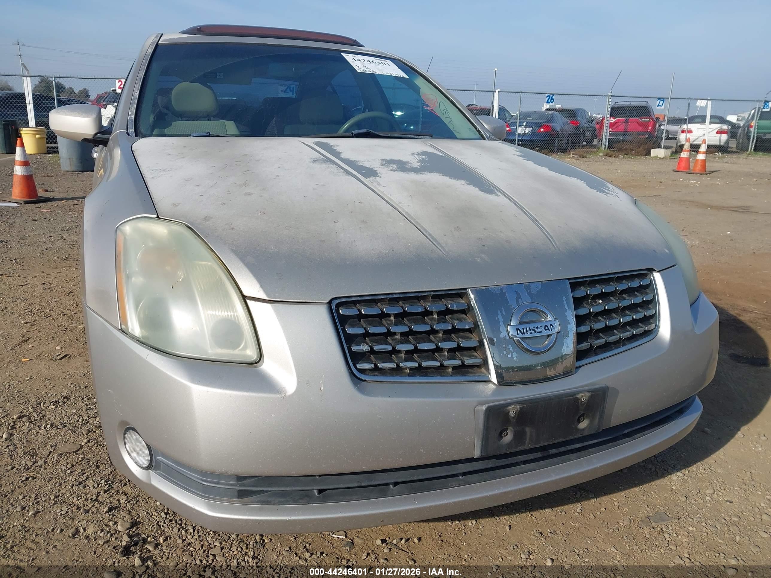 NISSAN MAXIMA image 6